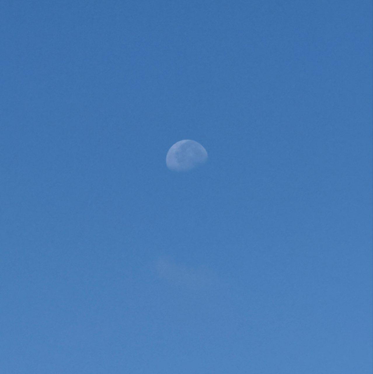 The Moon over University City, United States — waning gibbous, Lunar Day 21