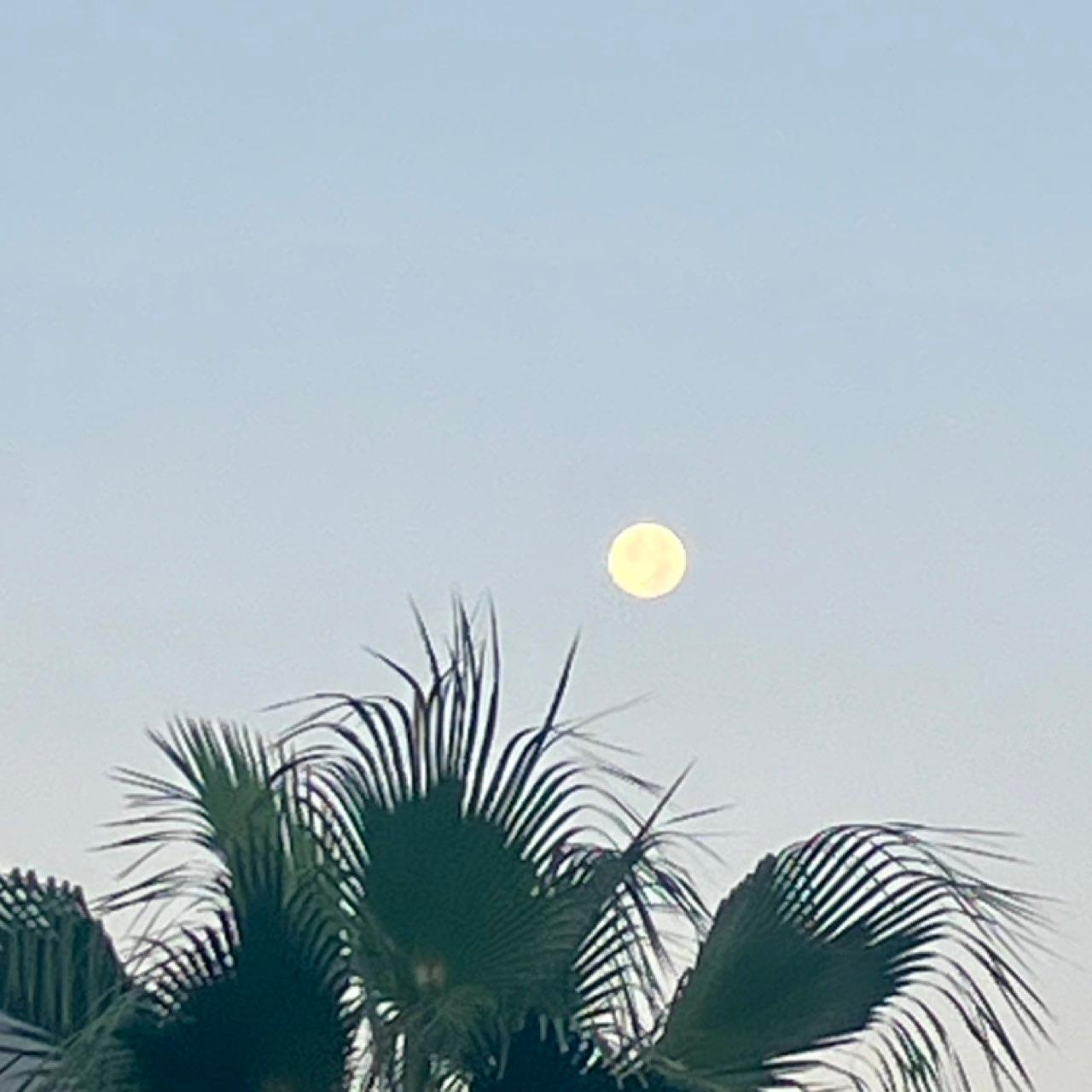 The Moon over Paterna, España — full moon, Lunar Day 17