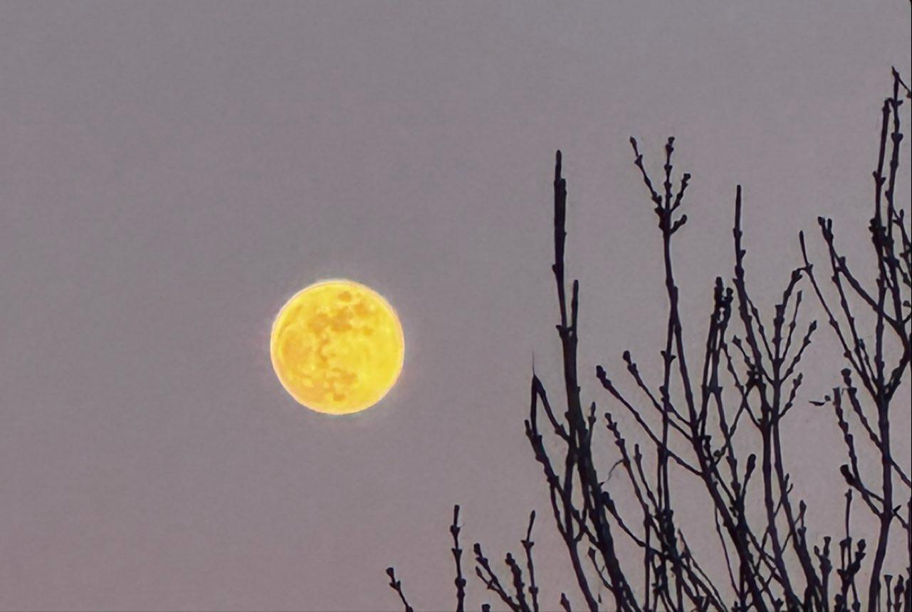 The Moon over Dettelbach, Deutschland — full moon, Lunar Day 14