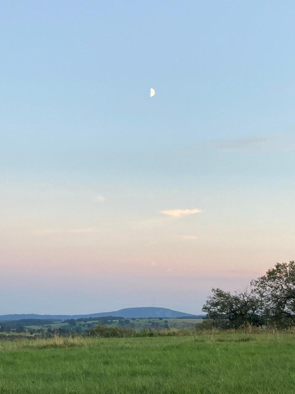 The Moon over Bad Kissingen, Deutschland — first quarter, Lunar Day 10