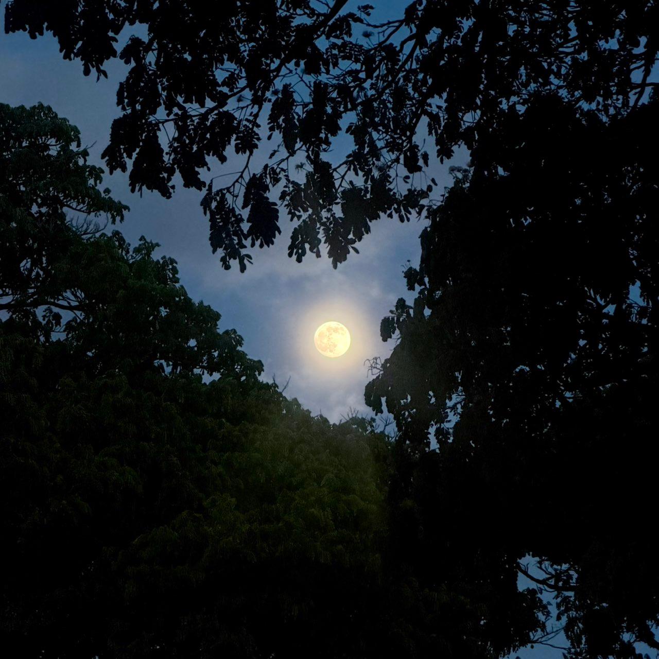 The Moon over Honolulu, United States — full moon, Lunar Day 16