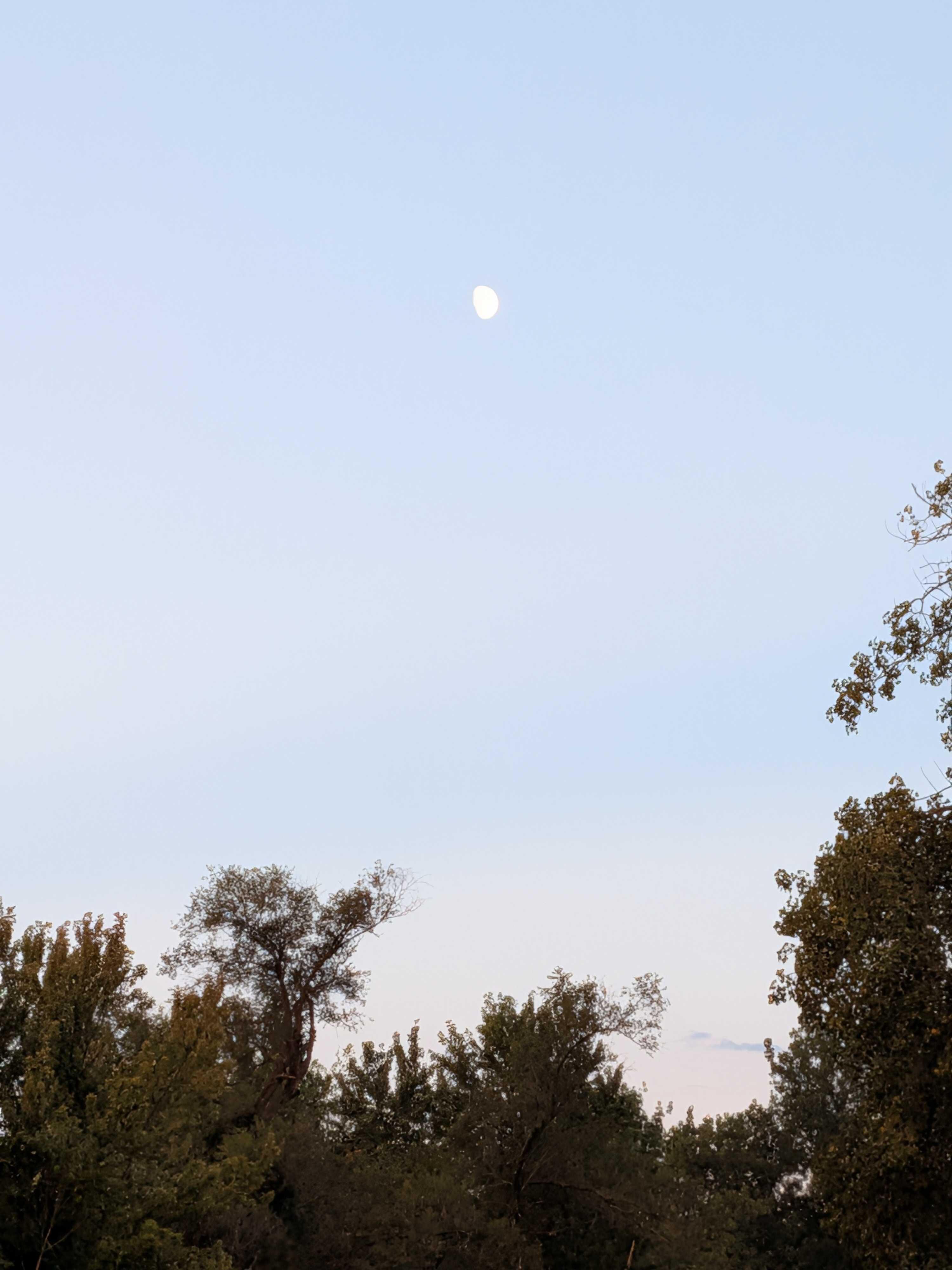 The Moon over Anderson, United States — waxing gibbous, Lunar Day 11