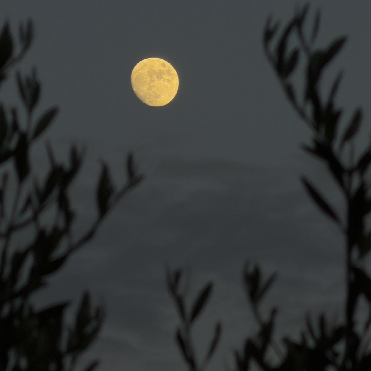 The Moon over Altendorf, Schweiz — waxing gibbous, Lunar Day 13