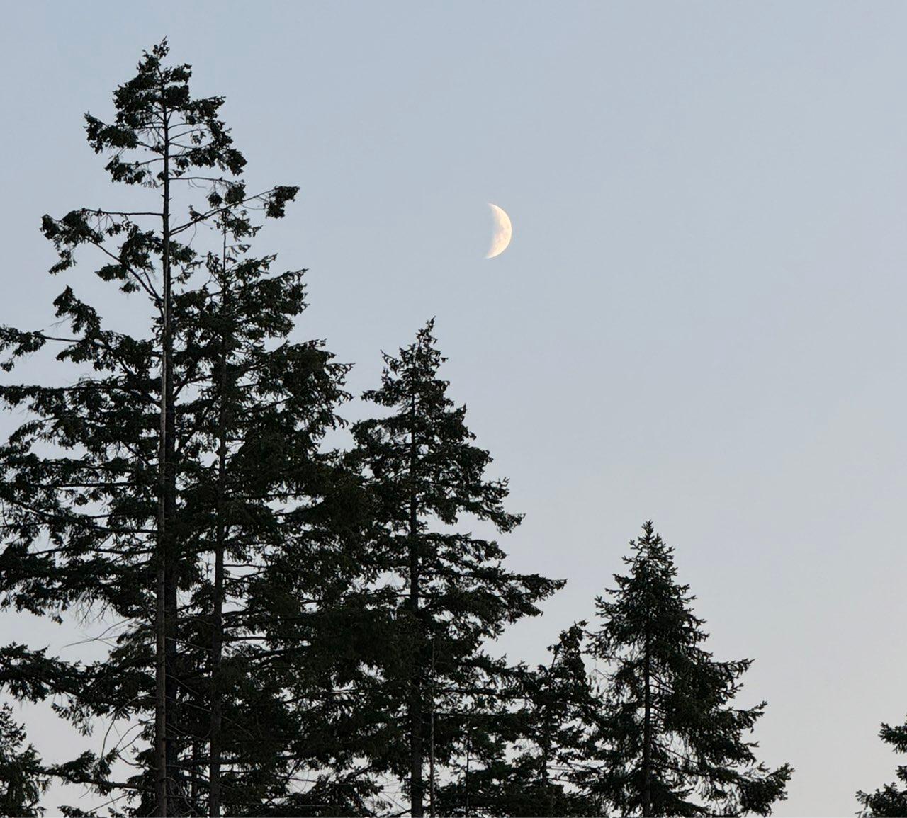 The Moon over Sechelt, Canada — first quarter, Lunar Day 8