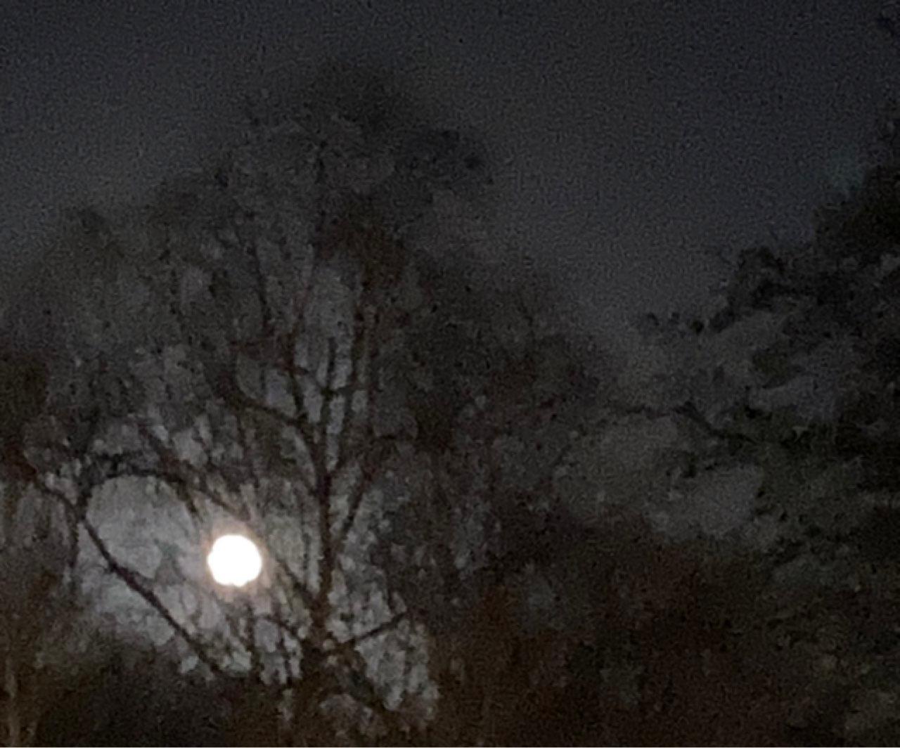 The Moon over Oegstgeest, Netherlands — full moon, Lunar Day 16