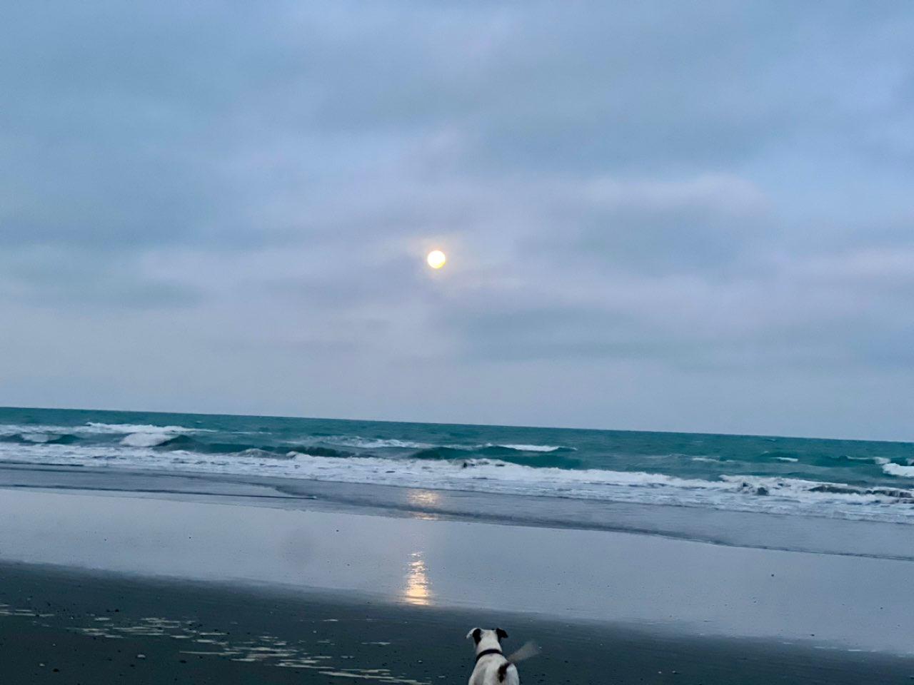 The Moon over Waikuku Beach, New Zealand — full moon, Lunar Day 14