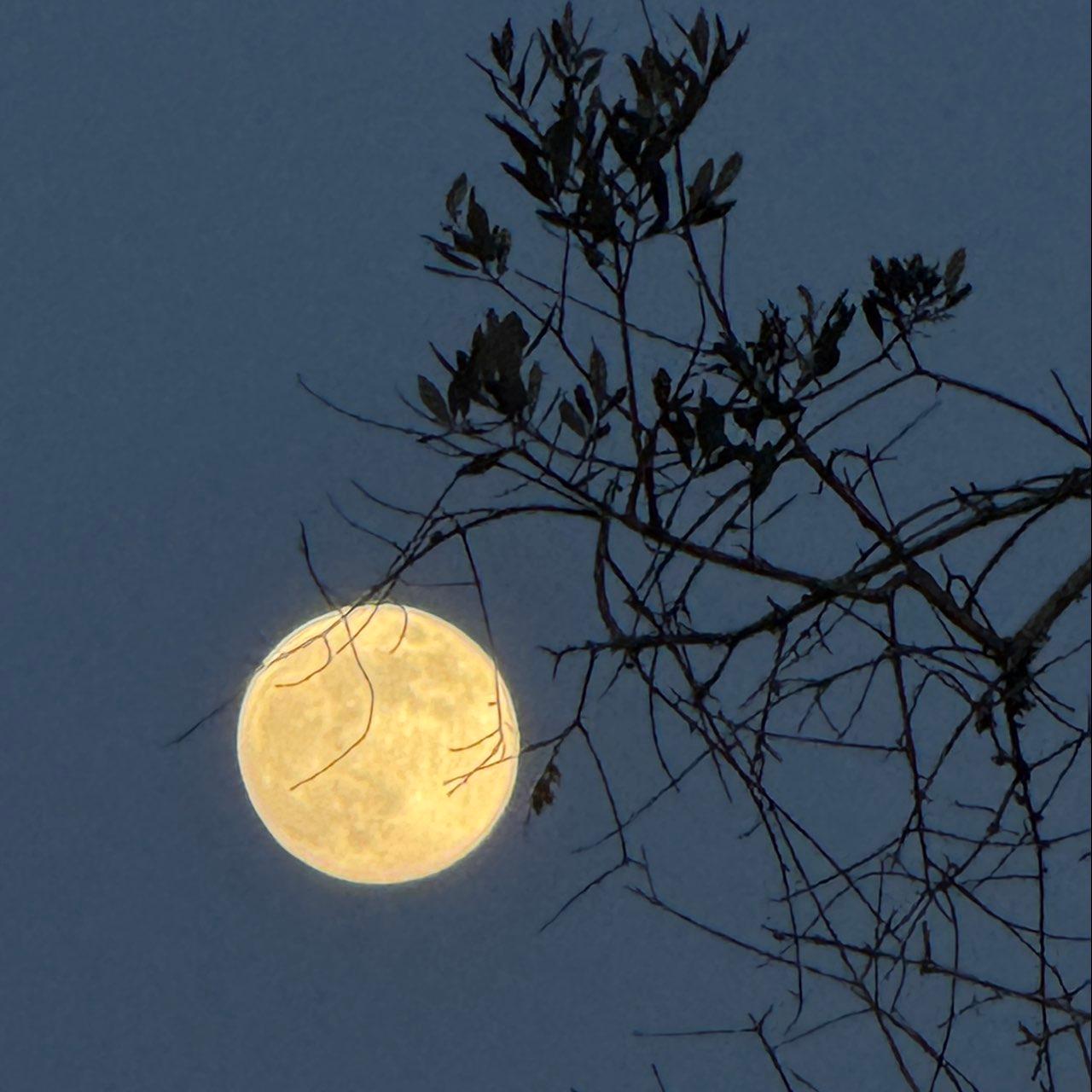 The Moon over Squinzano, Italia — full moon, Lunar Day 15