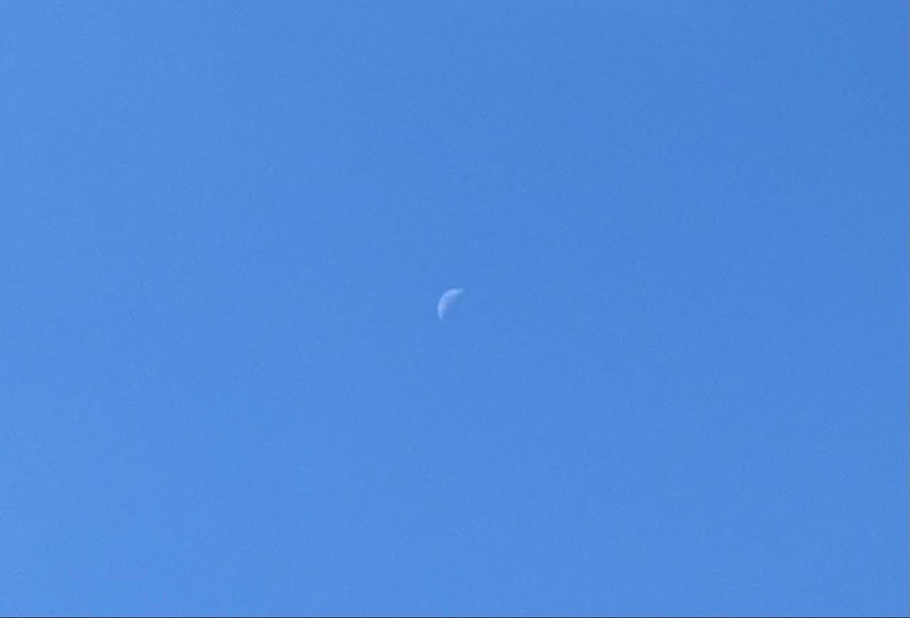 The Moon over Randburg, South Africa — first quarter, Lunar Day 7