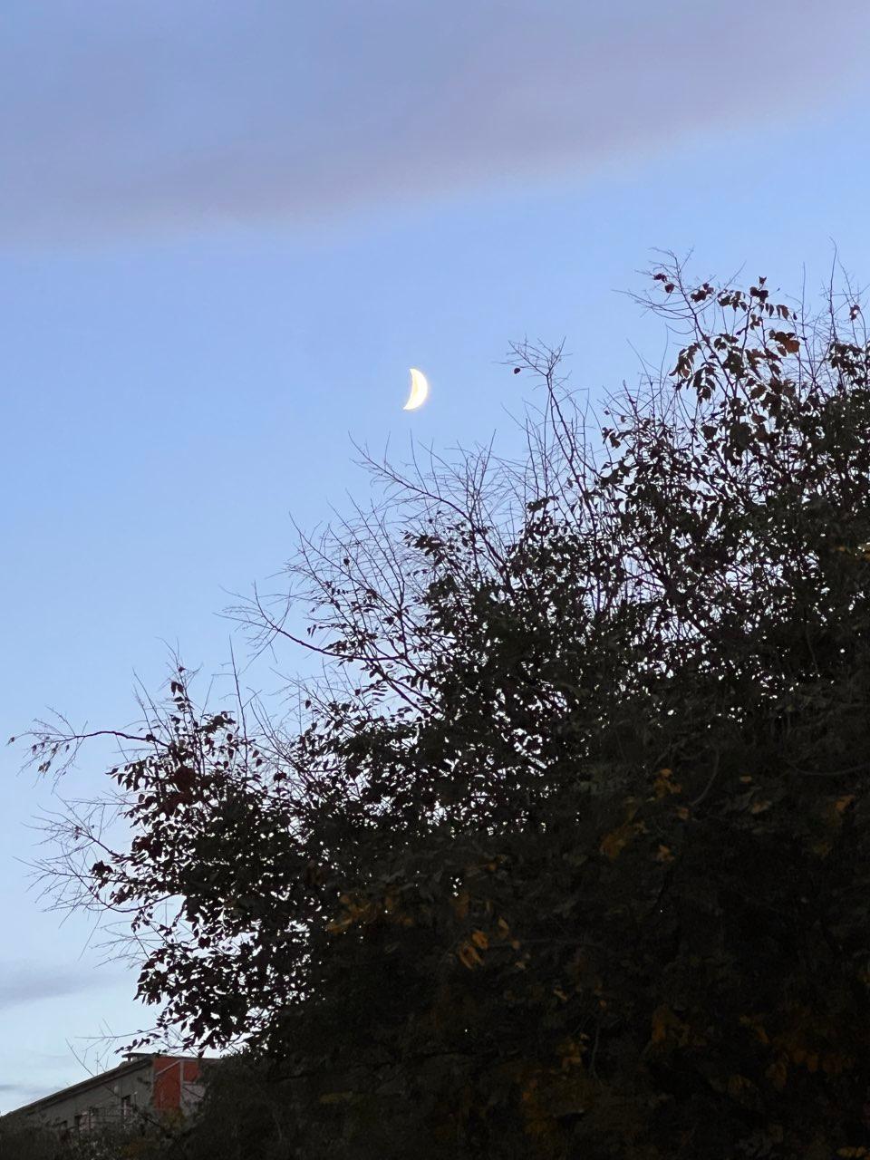 The Moon over Nîmes, France — first quarter, Lunar Day 7