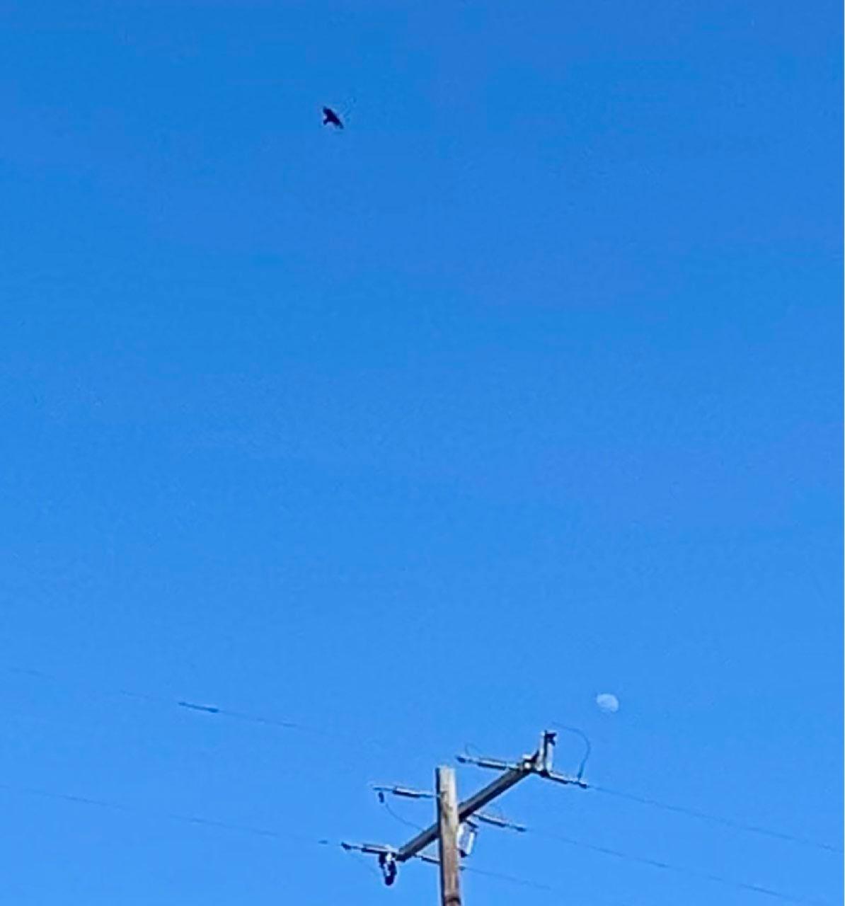 The Moon over Lake Charles, United States — waxing gibbous, Lunar Day 10