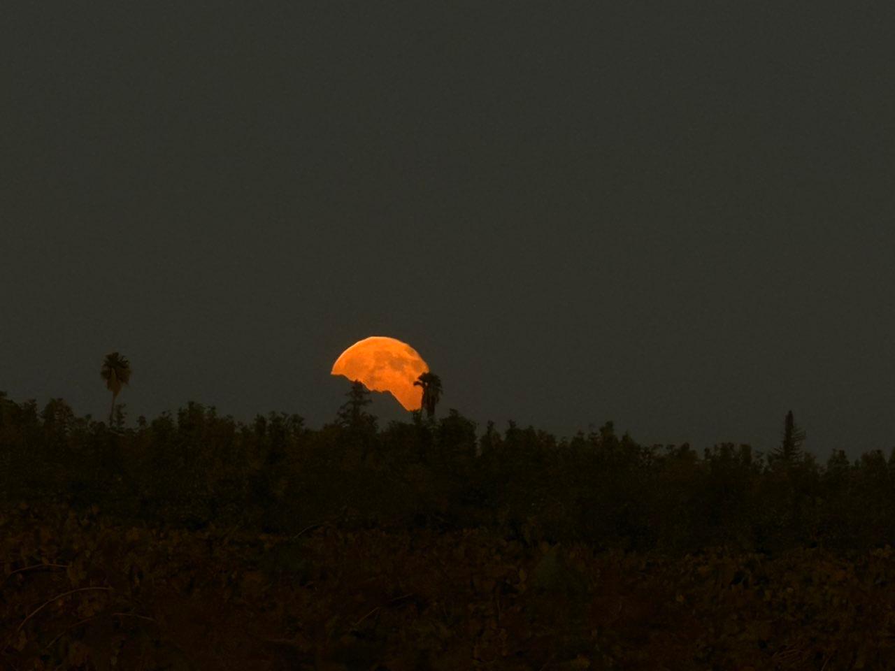 The Moon over Lodi, United States — full moon, Lunar Day 17