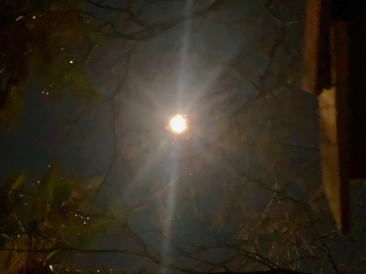 The Moon over Randburg, South Africa — full moon, Lunar Day 16
