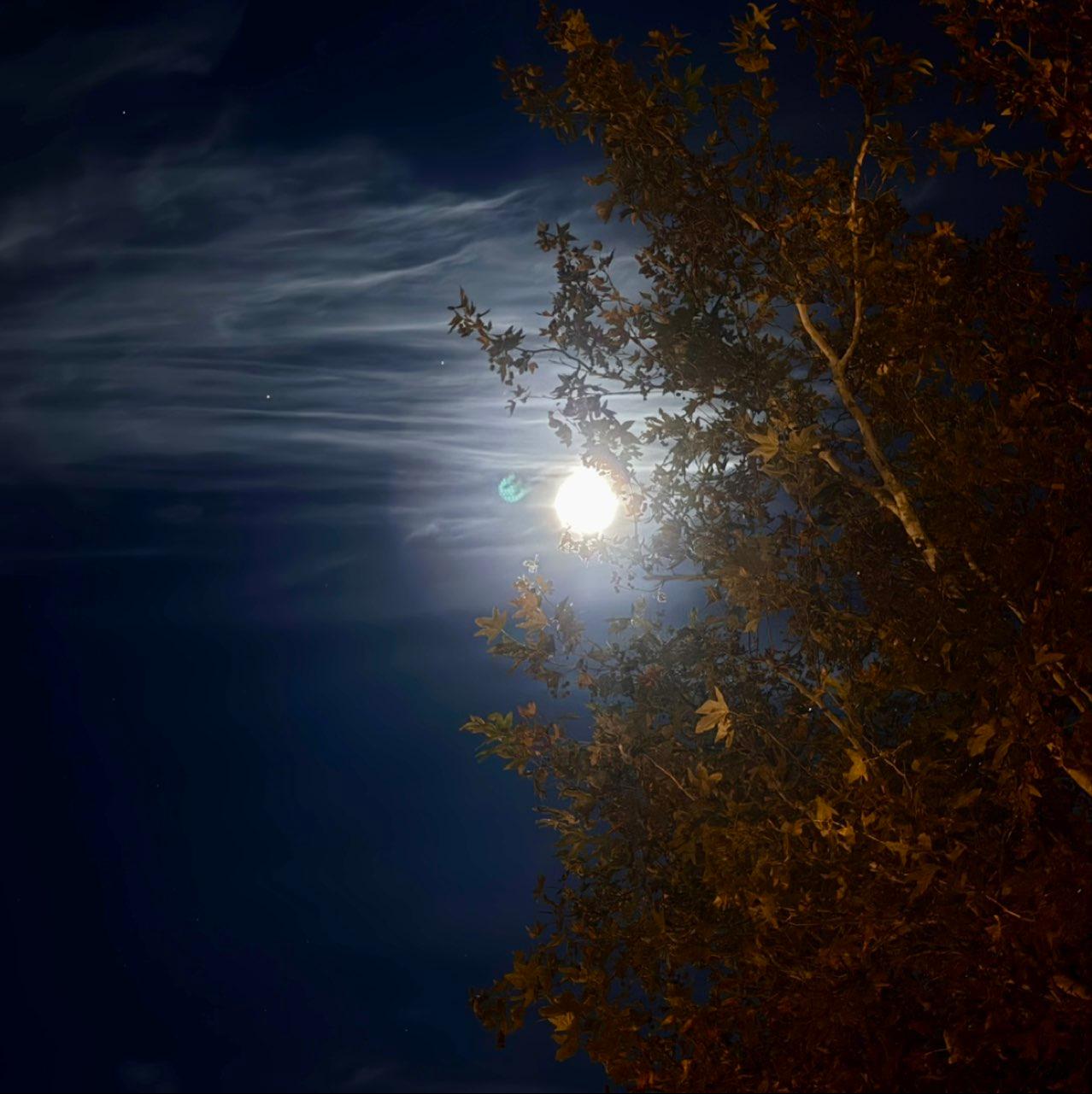 The Moon over Valencia, United States — full moon, Lunar Day 17
