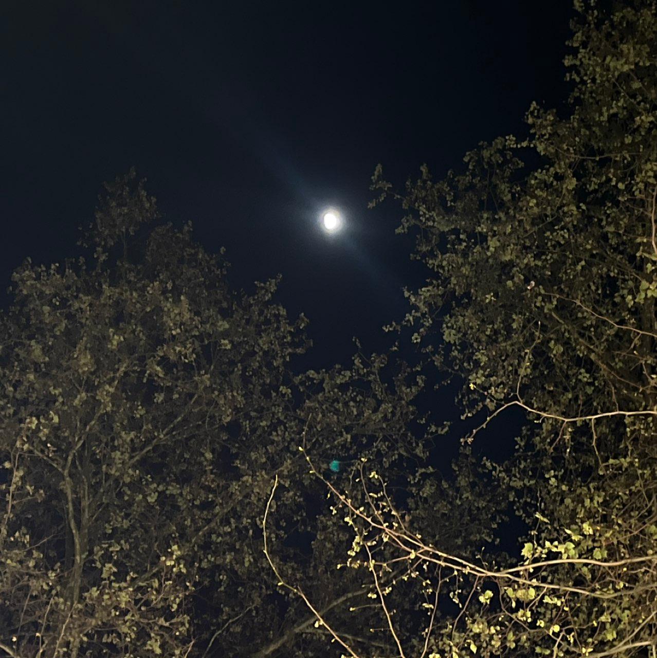 The Moon over A Coruña, España — waxing gibbous, Lunar Day 10