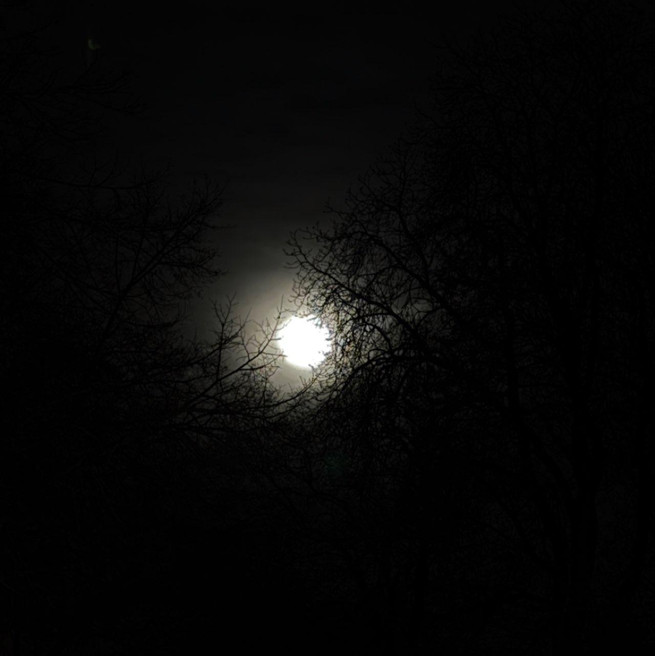 The Moon over Kempten (Allgäu), Deutschland — full moon, Lunar Day 15