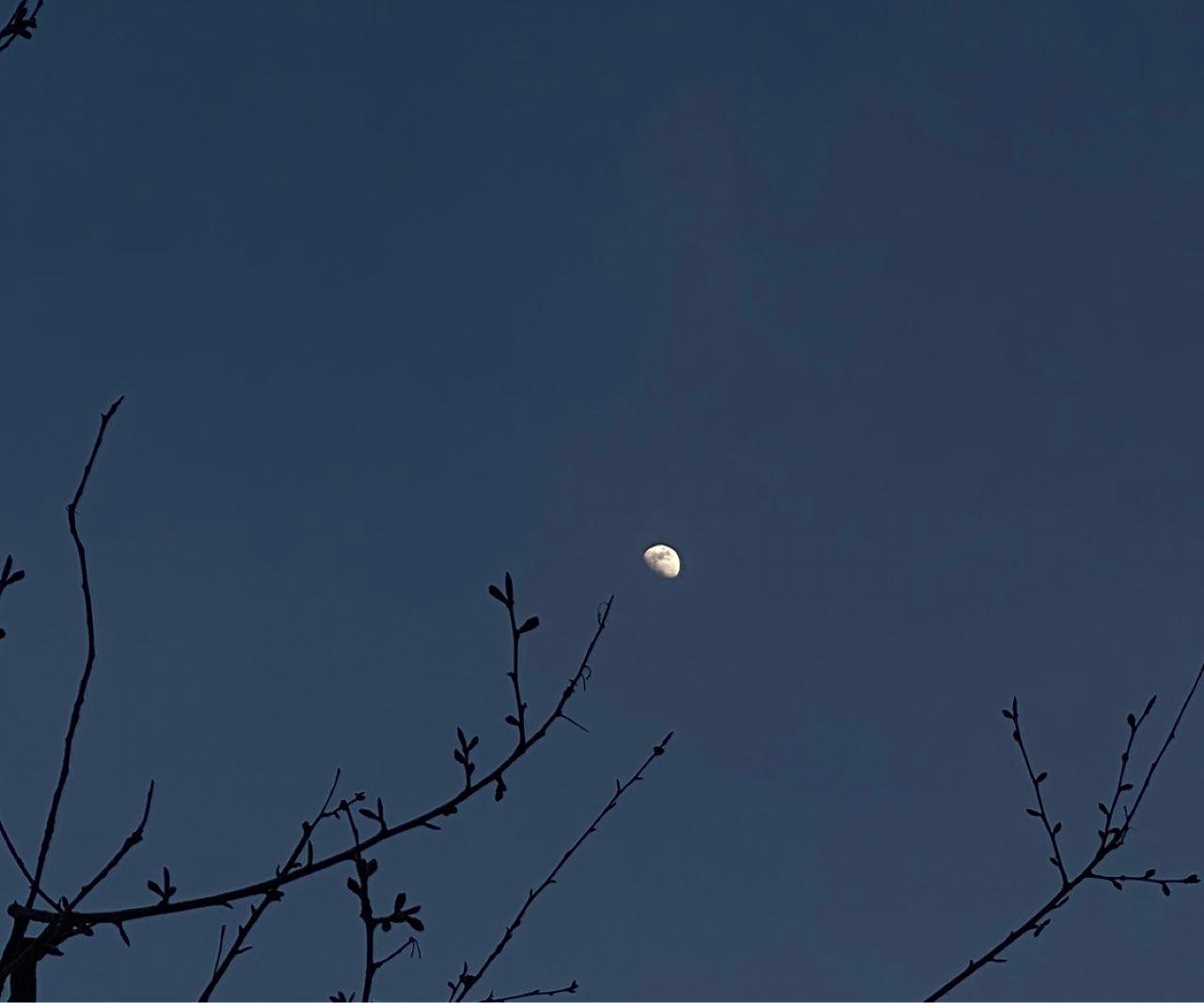 The Moon over St. Gallen, Switzerland — waxing gibbous, Lunar Day 10