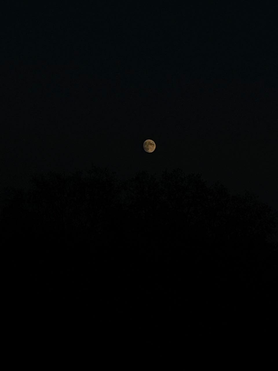 The Moon over Kalyan, India — full moon, Lunar Day 14