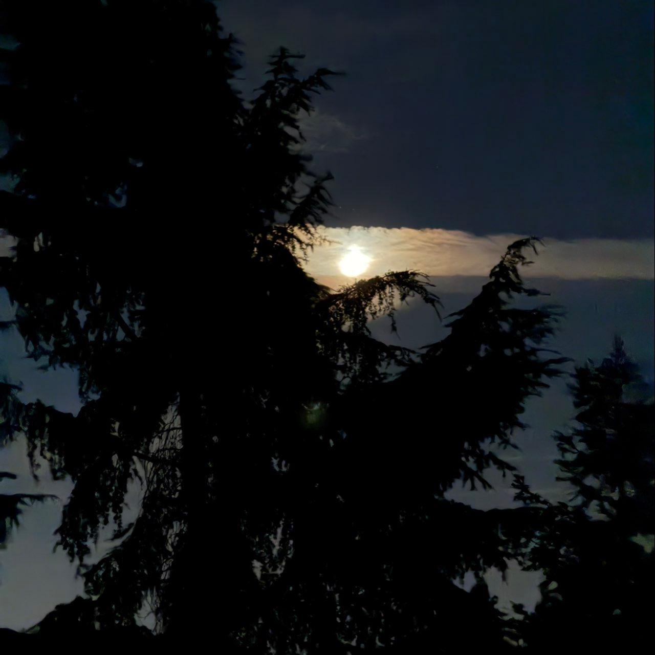 The Moon over Lodi, United States — first quarter, Lunar Day 7