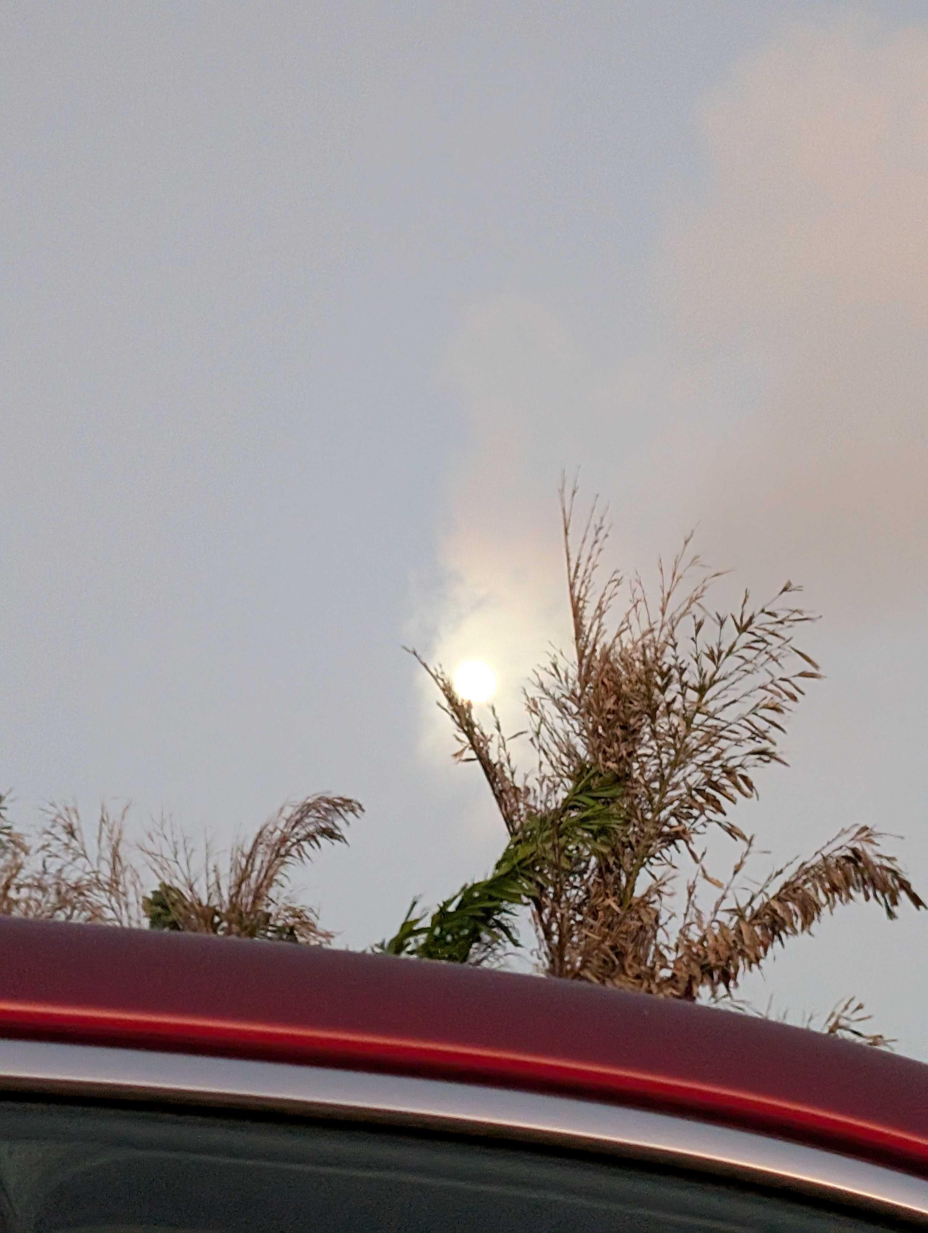 The Moon over Port St. Lucie, United States — full moon, Lunar Day 15