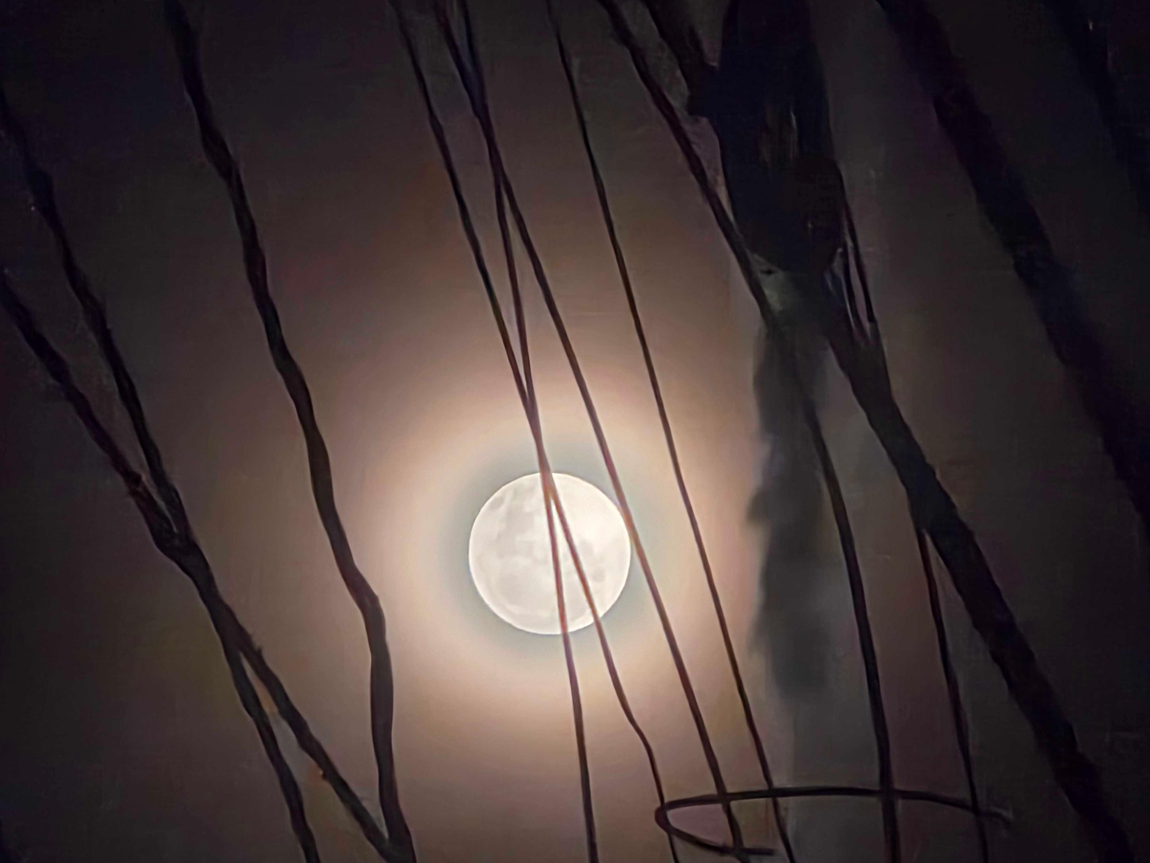 The Moon over Gloucester Township, United States — full moon, Lunar Day 17