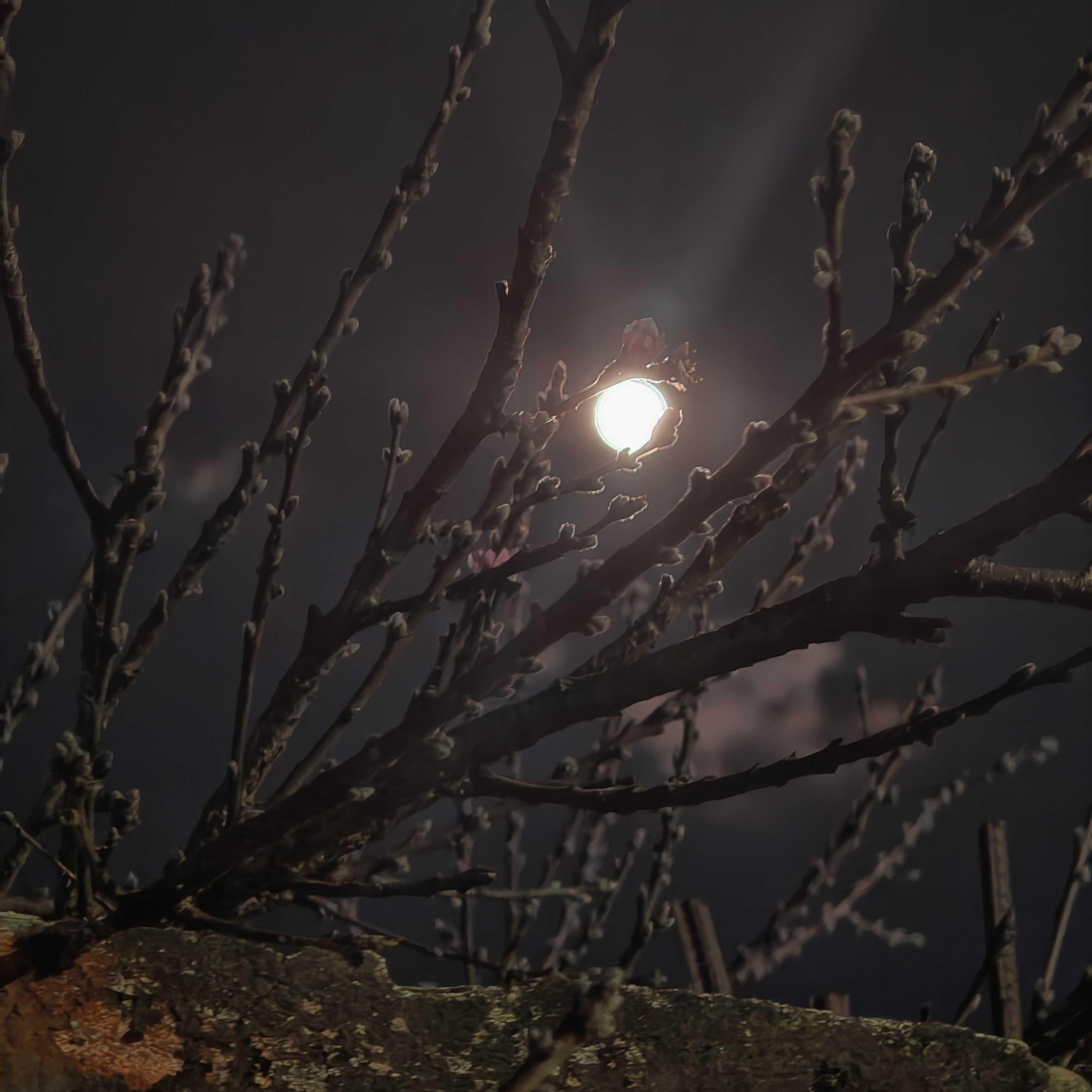 The Moon over Comitán de Domínguez, México — full moon, Lunar Day 15