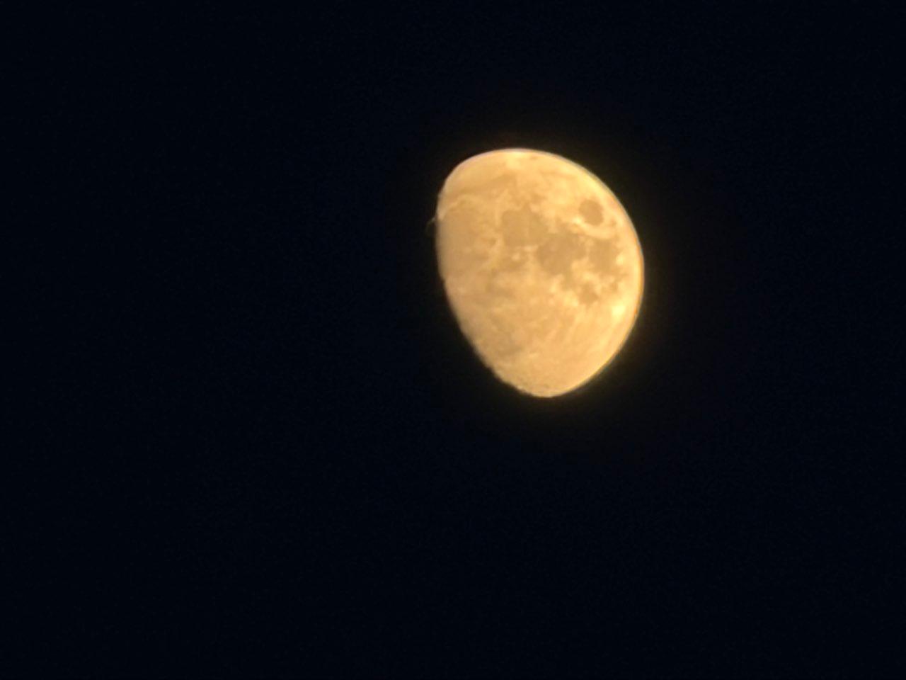 The Moon over Durham, United States — waxing gibbous, Lunar Day 11
