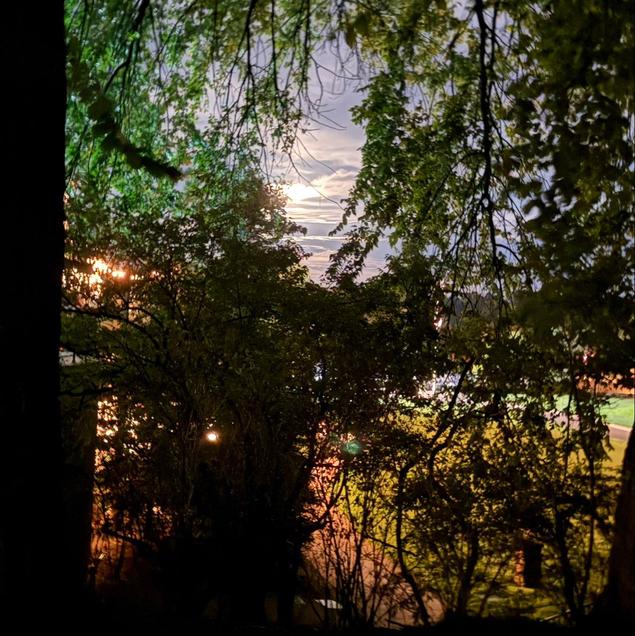 The Moon over New Orleans, United States — waning gibbous, Lunar Day 20