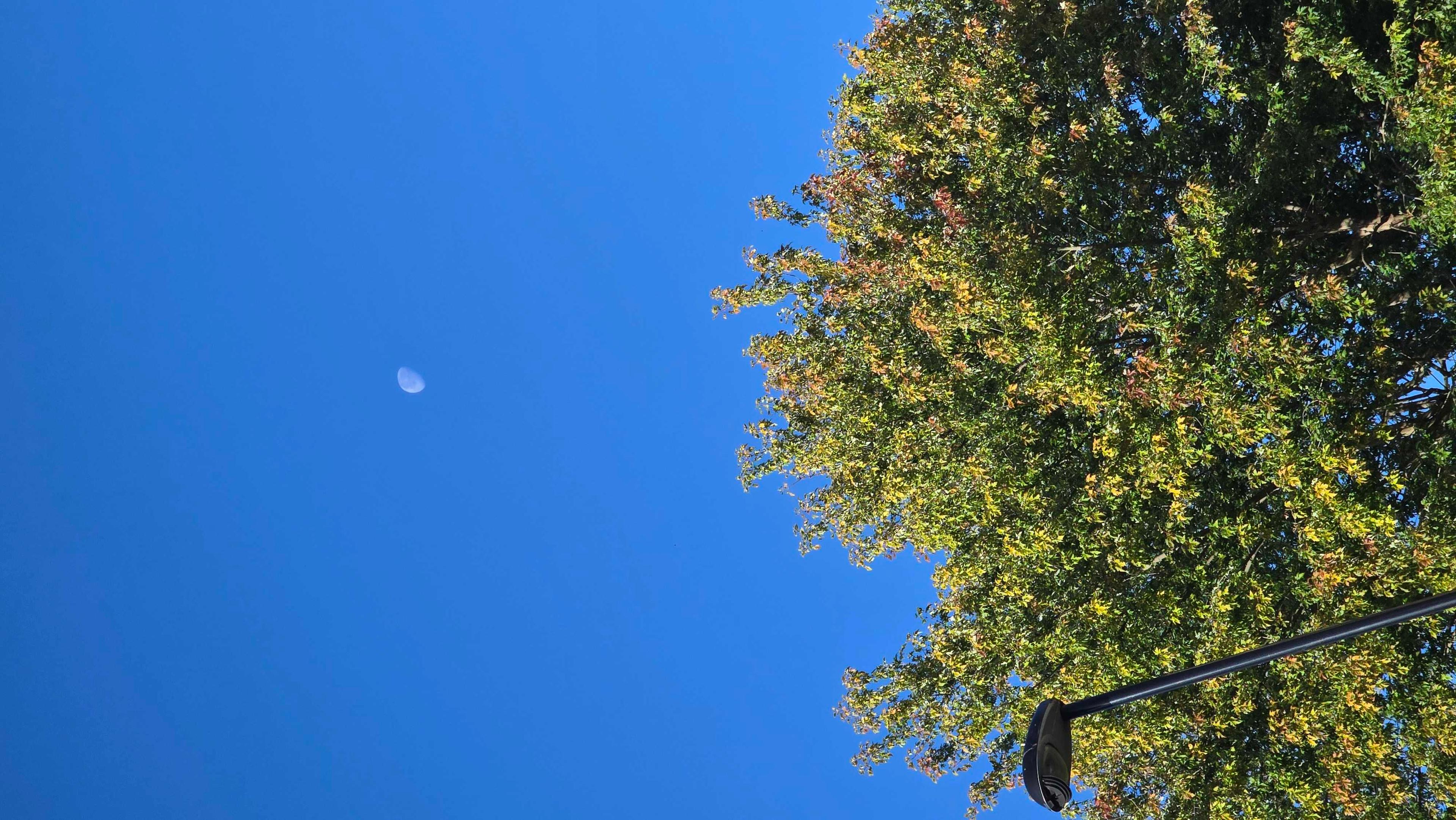 The Moon over United Kingdom — waning gibbous, Lunar Day 20