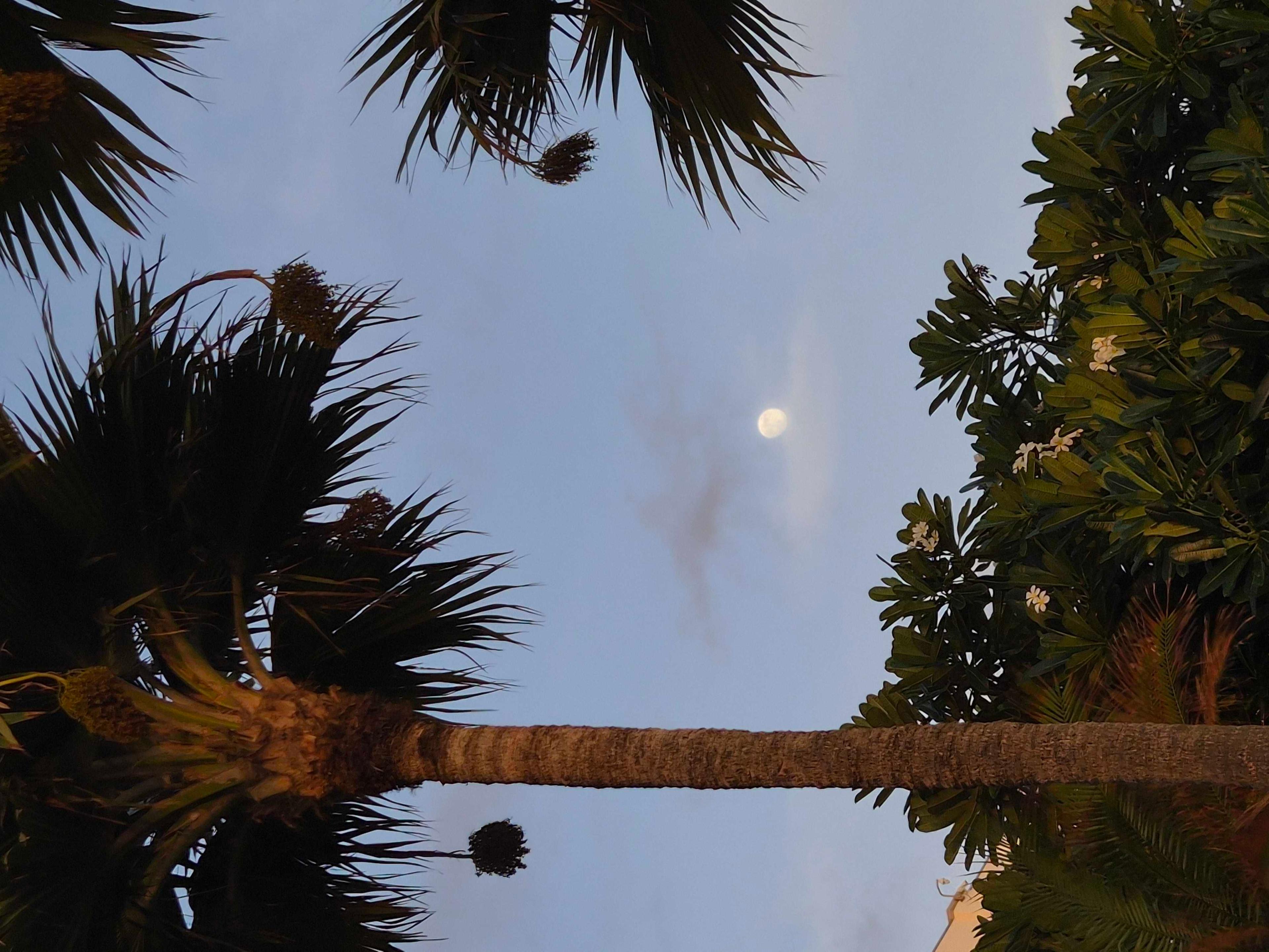 The Moon over United States — waxing gibbous, Lunar Day 14