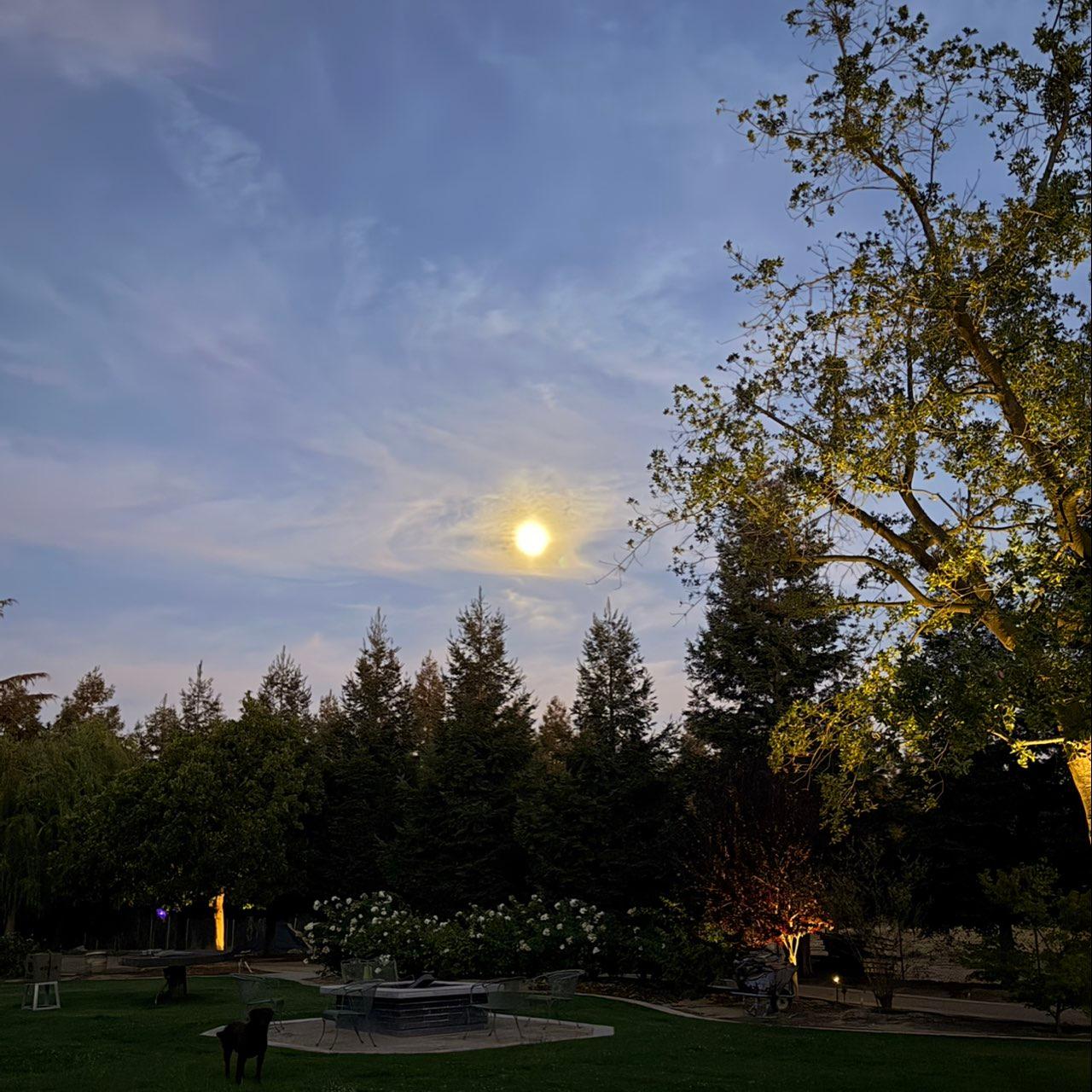 The Moon over Lodi, United States — waxing gibbous, Lunar Day 14