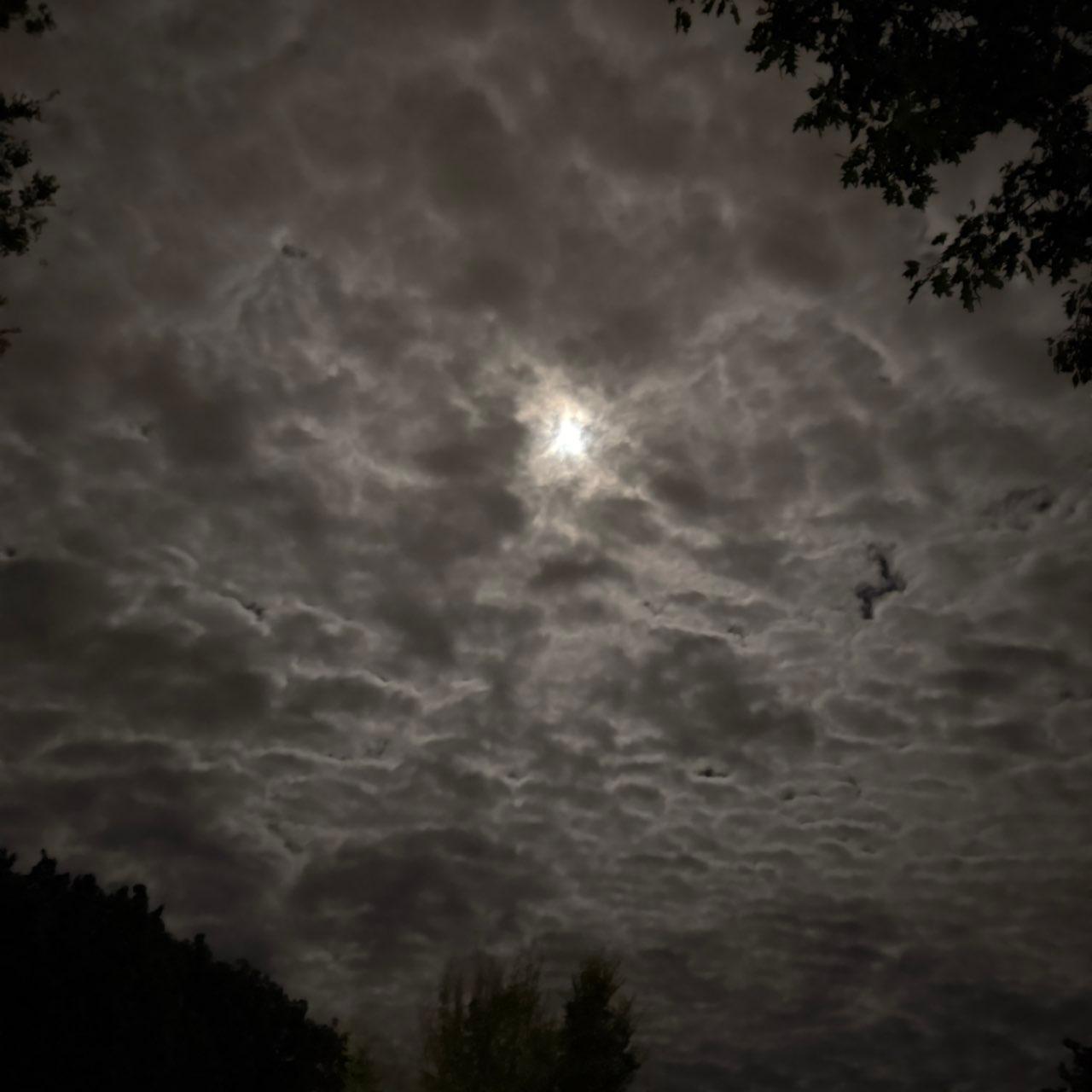 The Moon over 乌尔班纳, 美国 — full moon, Lunar Day 16