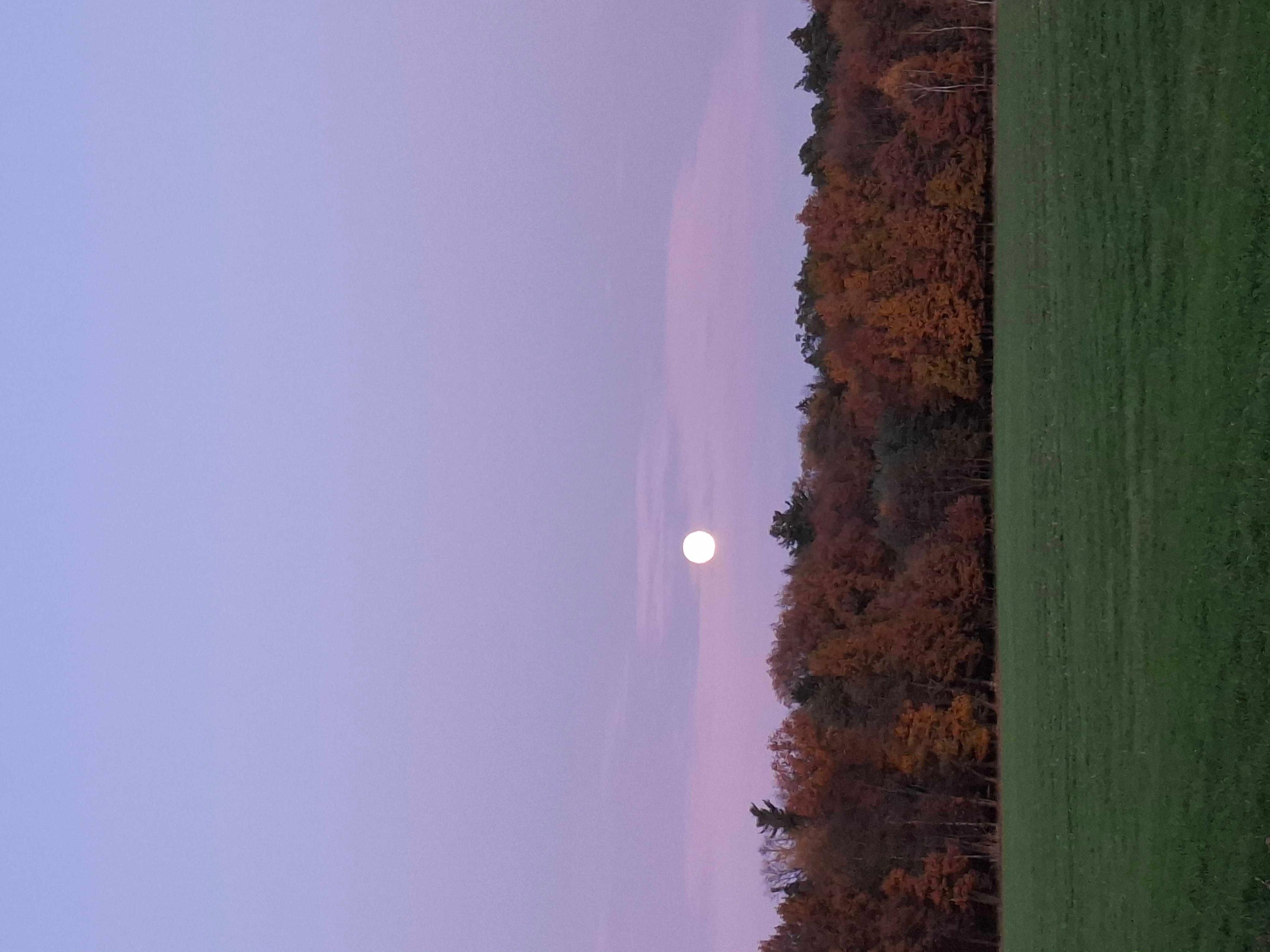The Moon over Czechia — full moon, Lunar Day 16