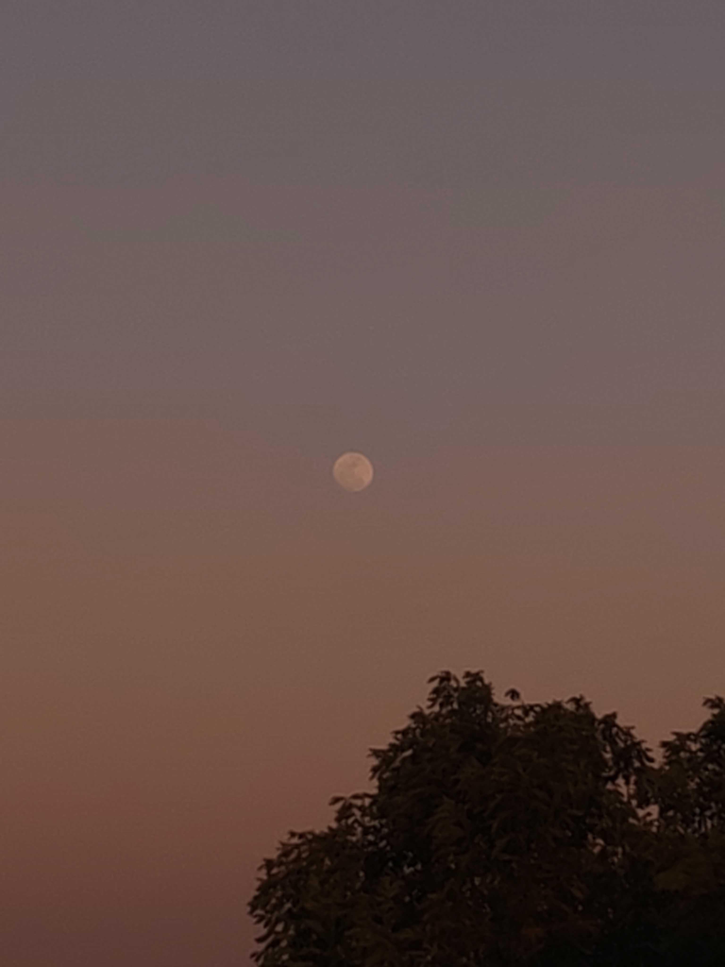 The Moon over Zapopan, México — full moon, Lunar Day 14
