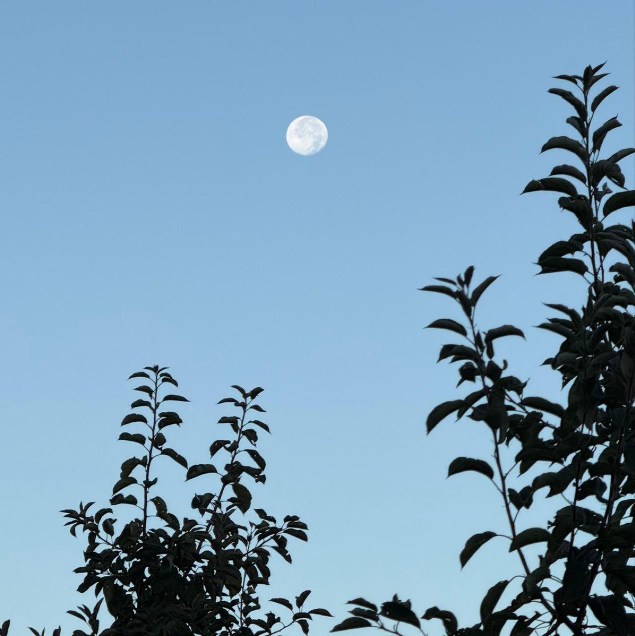 The Moon over Biberach an der Riß, Deutschland — full moon, Lunar Day 18