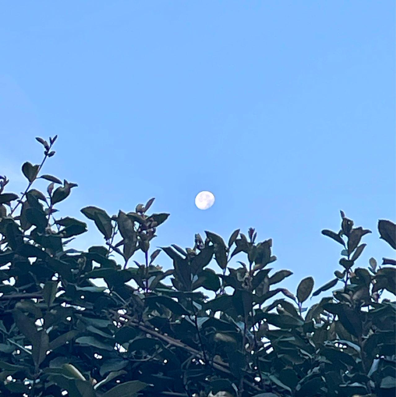 The Moon over Villiers-Saint-Frédéric, France — waning gibbous, Lunar Day 18