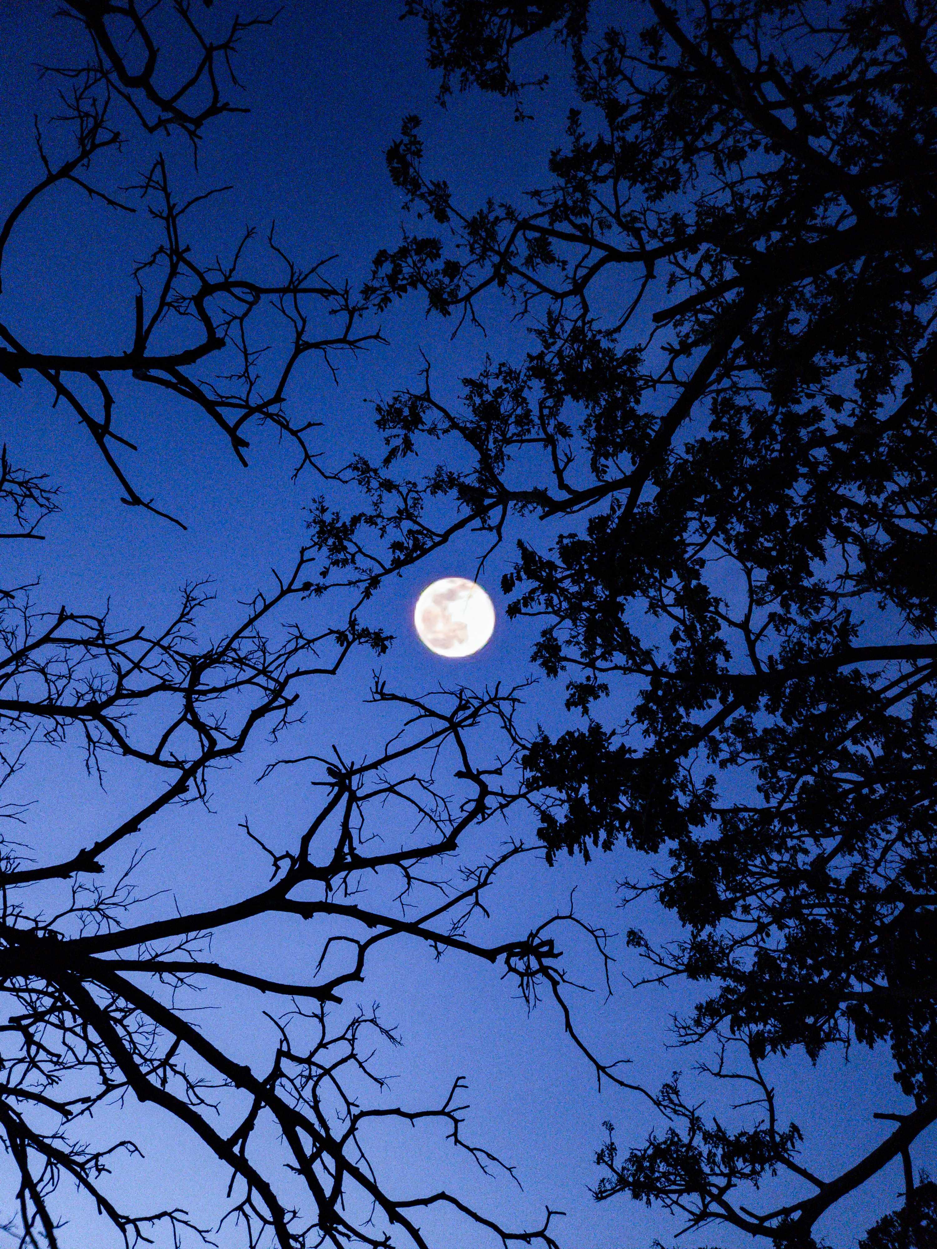 The Moon over Miri, Malaysia — waning gibbous, Lunar Day 18
