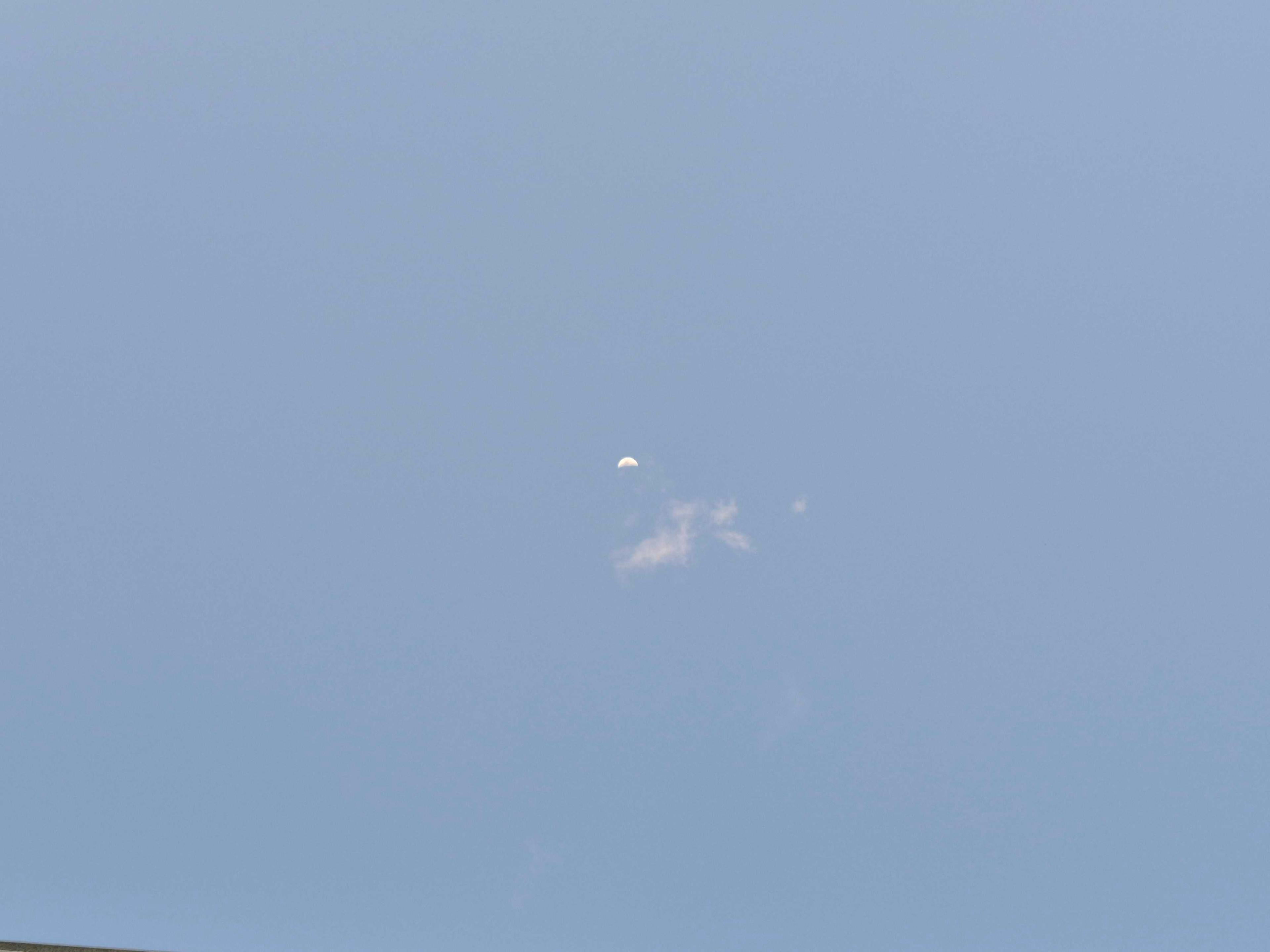 The Moon over Brasil — first quarter, Lunar Day 8