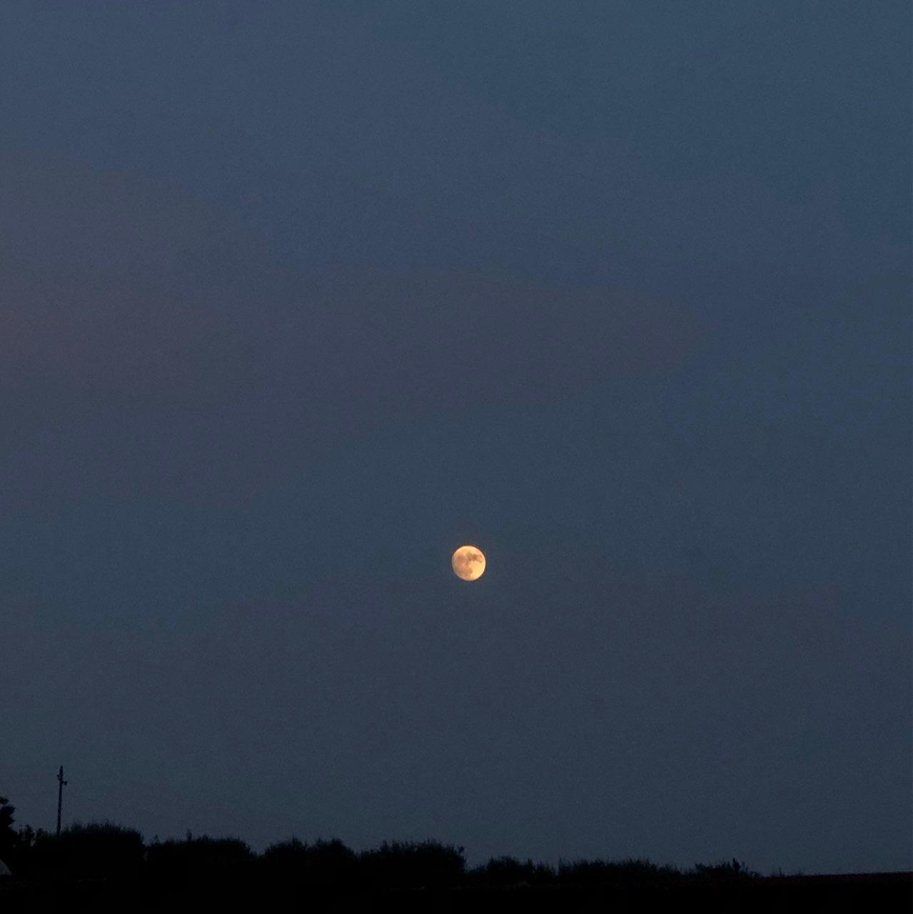 The Moon over Elbasan, Albania — first quarter, Lunar Day 8