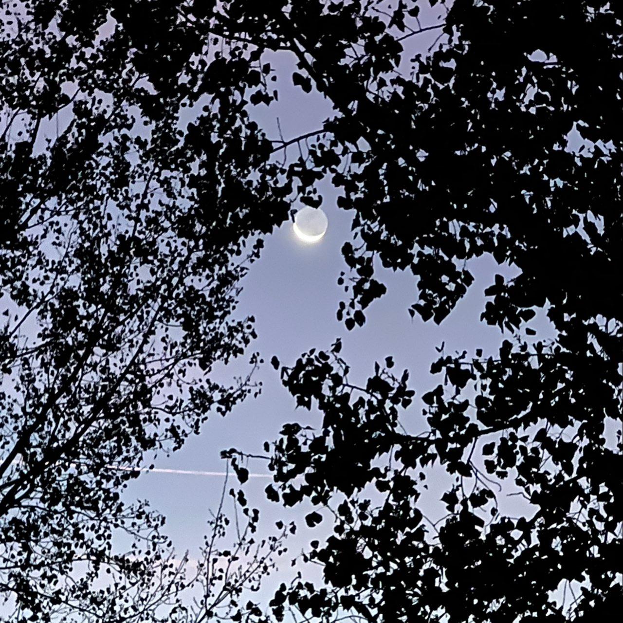 The Moon over Diamond, United States — waning crescent, Lunar Day 28