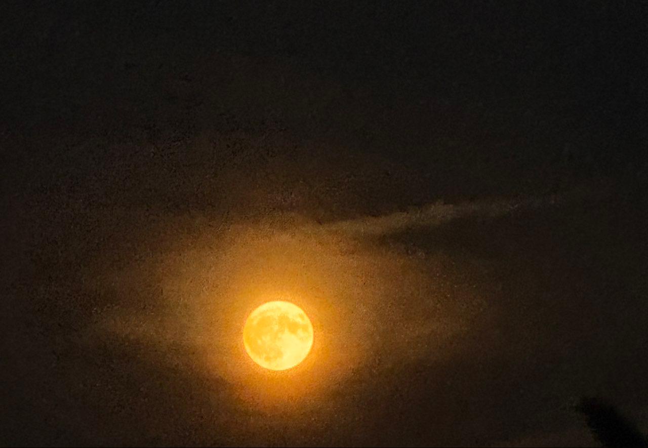 The Moon over St Albans, United Kingdom — full moon, Lunar Day 16