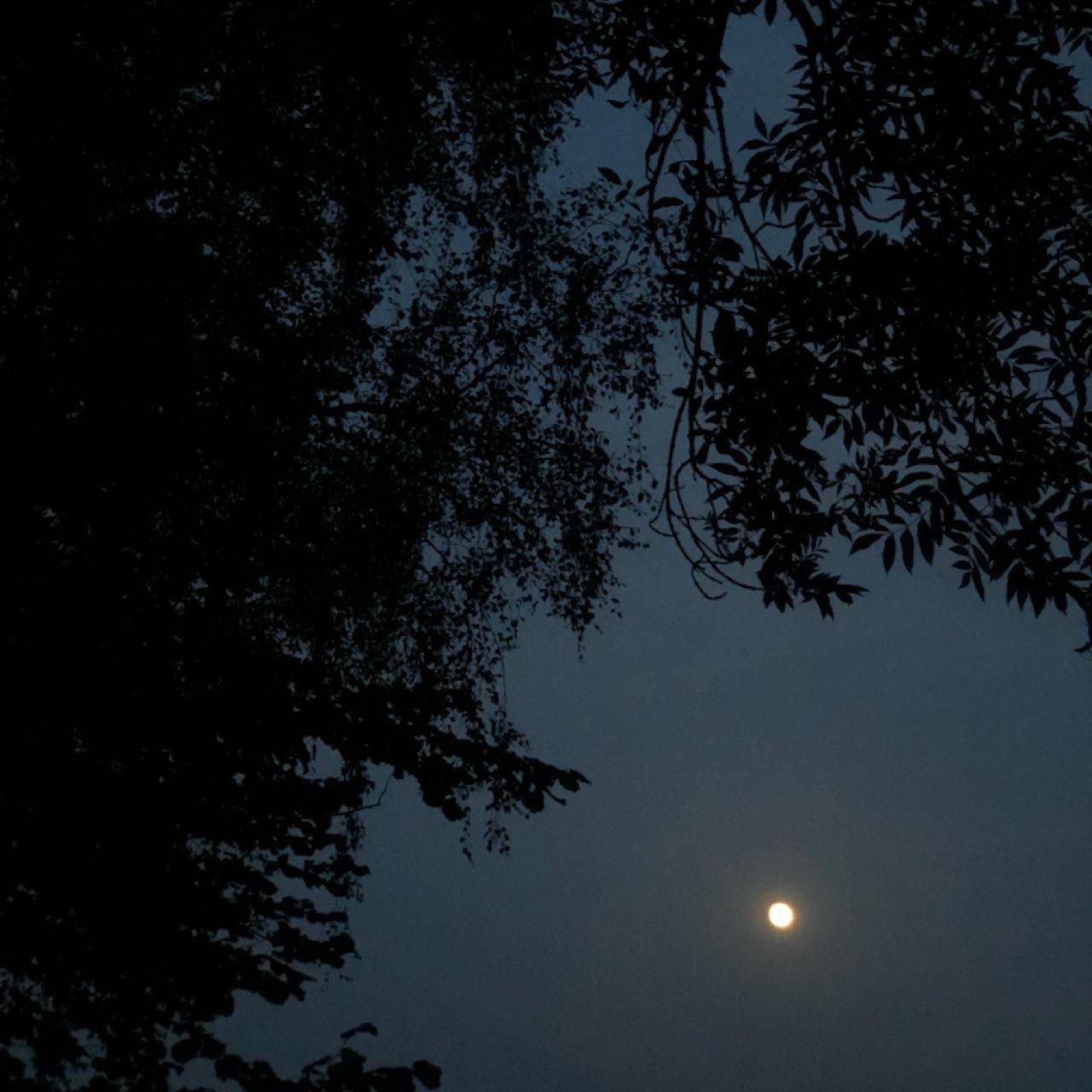 The Moon over Rednitzhembach, Deutschland — full moon, Lunar Day 15
