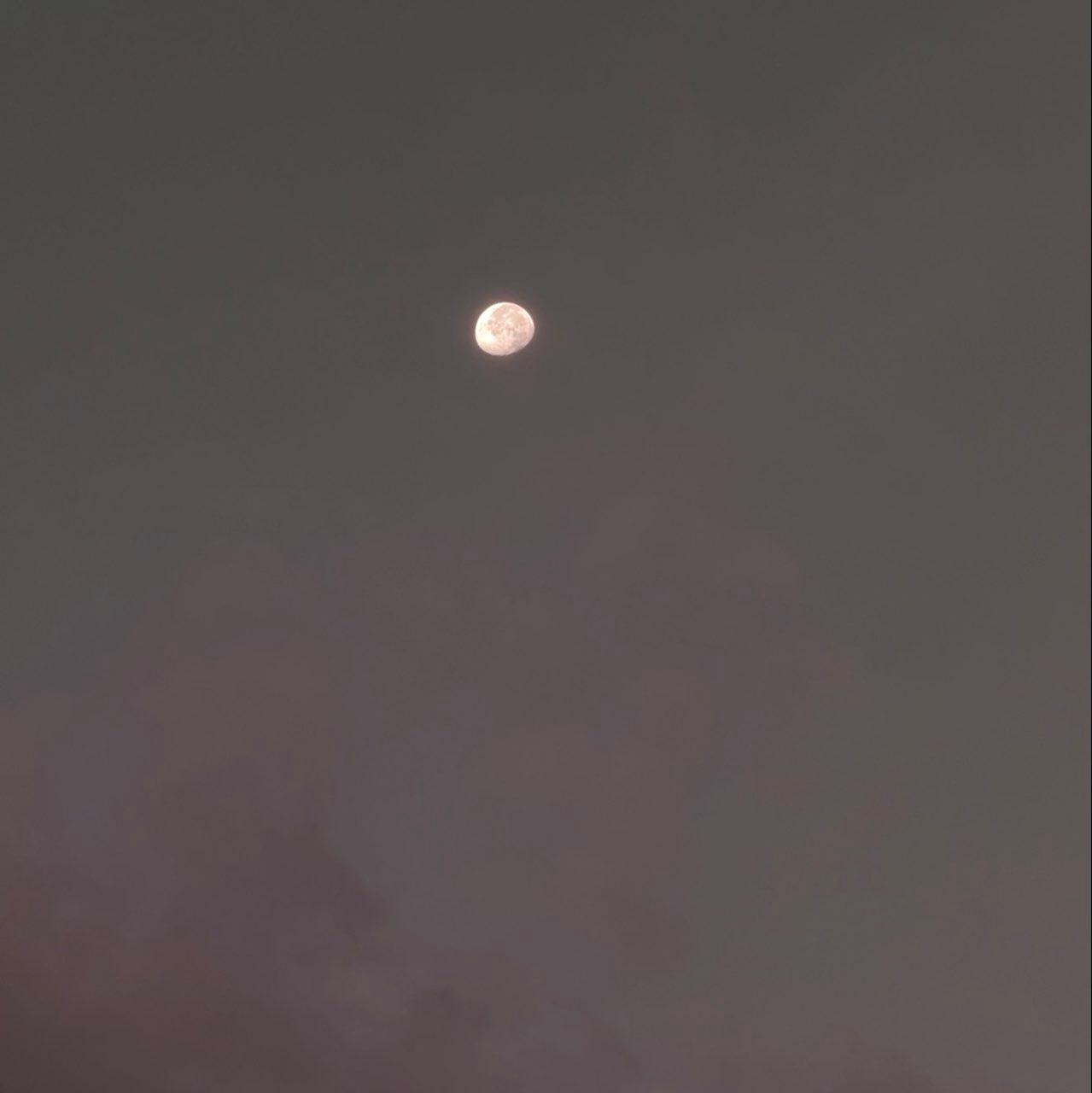 The Moon over Colorado Springs, United States — waning gibbous, Lunar Day 21