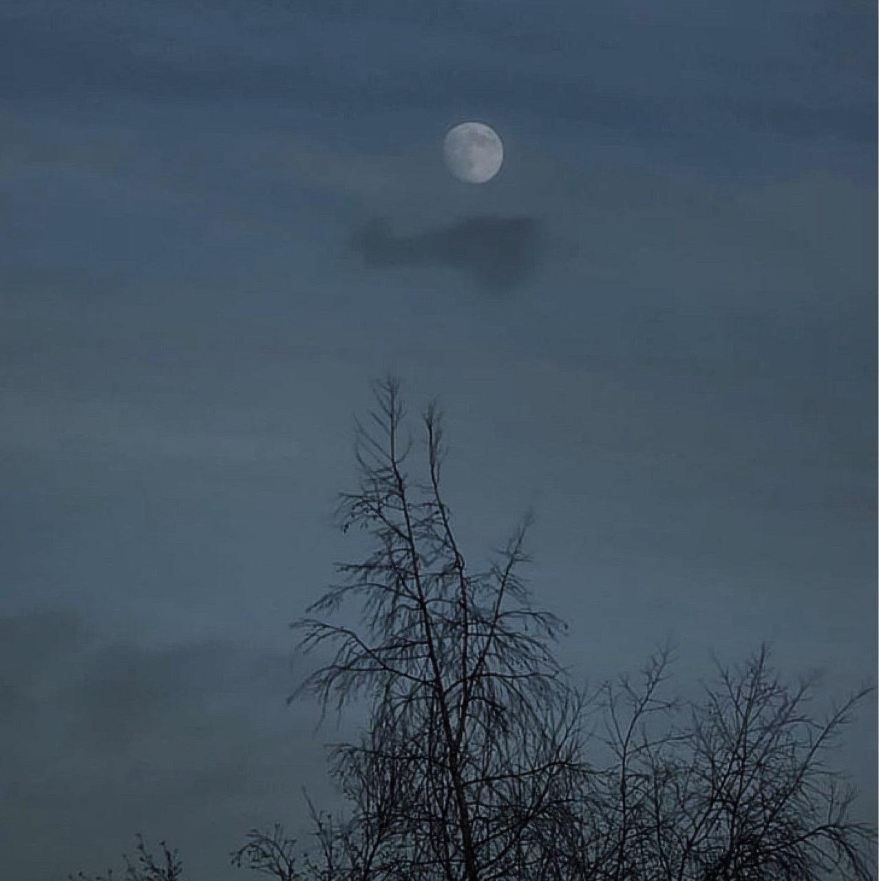 The Moon over Manchester, United Kingdom — waxing gibbous, Lunar Day 14