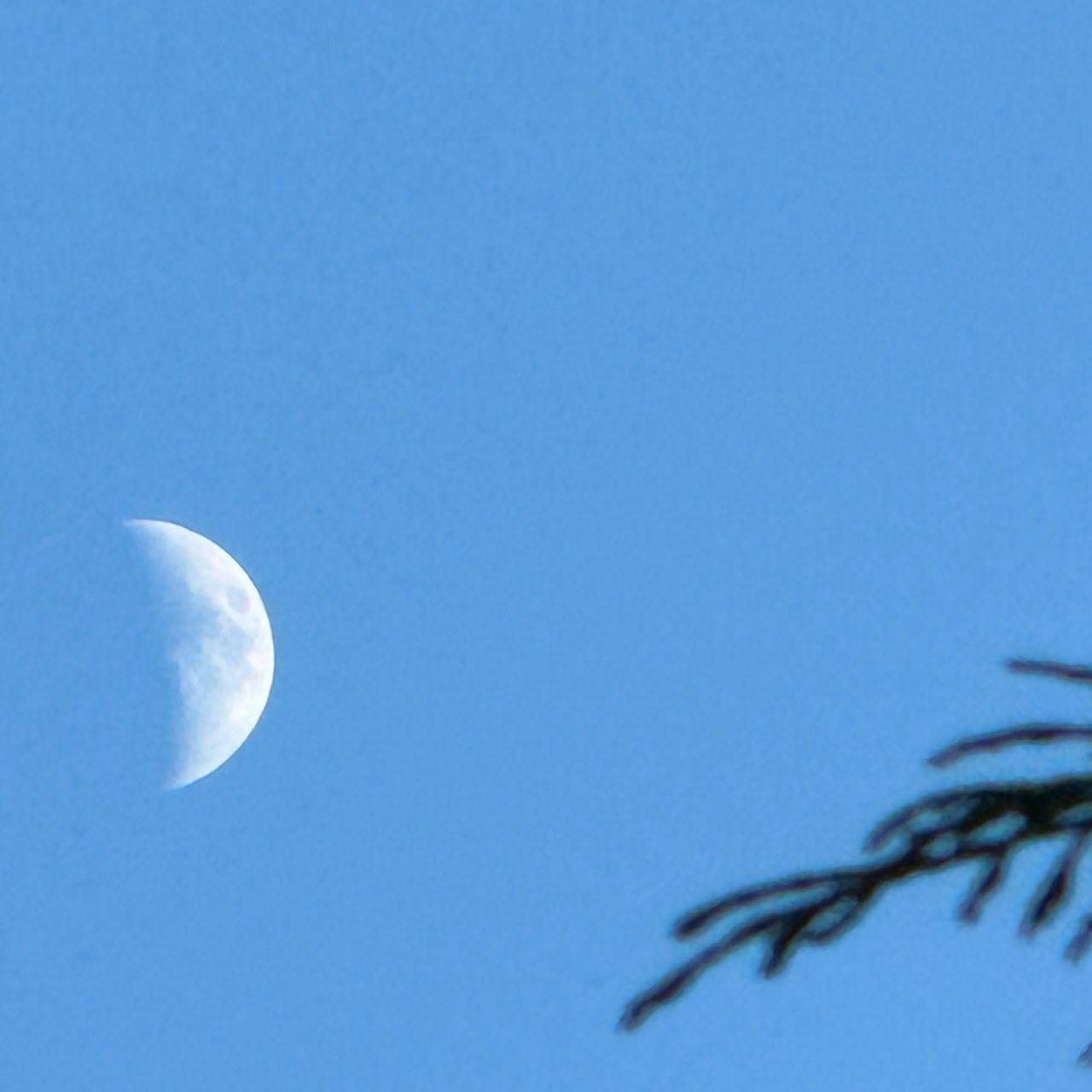 The Moon over Squamish-Lillooet, Canada — first quarter, Lunar Day 7