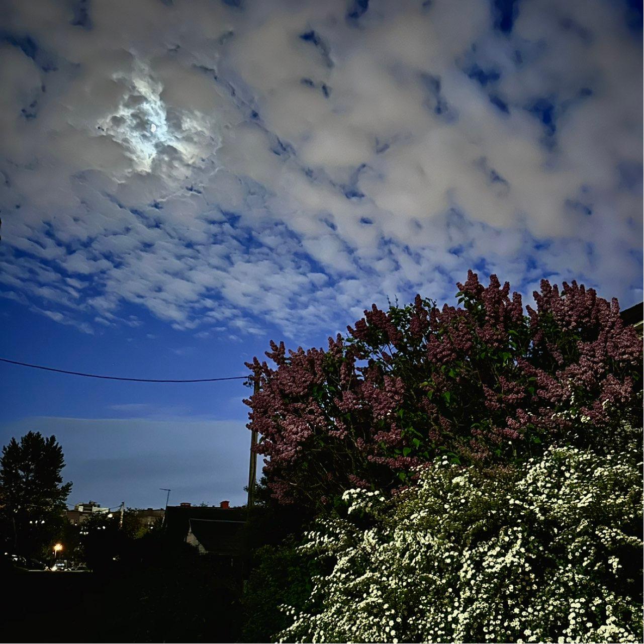 The Moon over Minsk, Belarus — waxing gibbous, Lunar Day 10