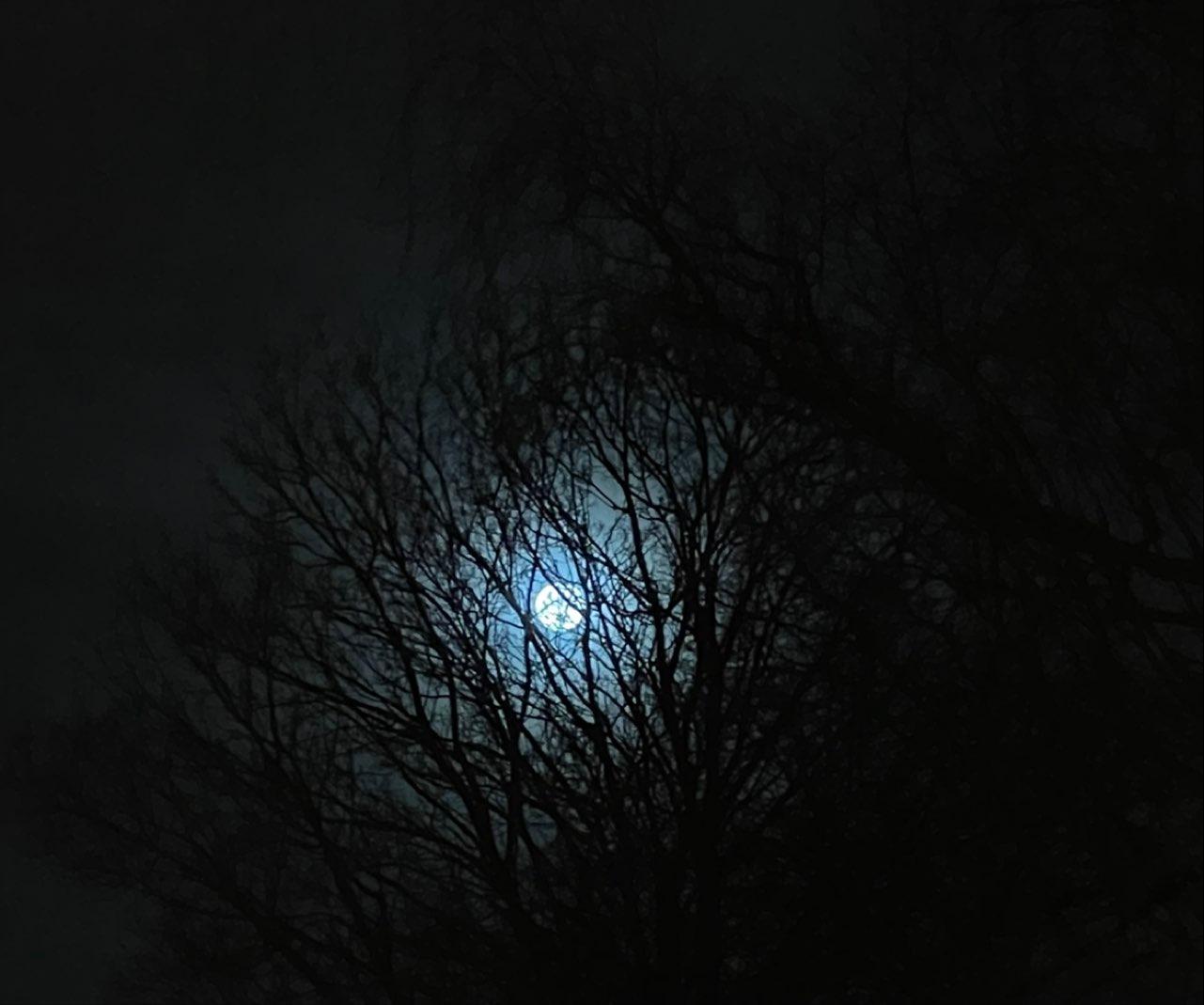 The Moon over Hamburg, Deutschland — full moon, Lunar Day 15