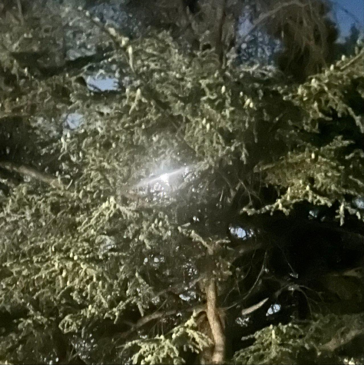 The Moon over Grass Valley, United States — full moon, Lunar Day 17