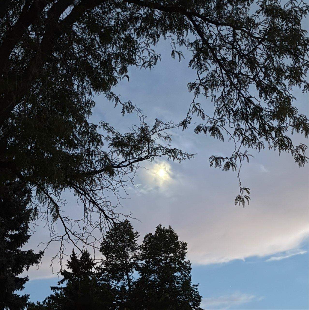 The Moon over Denver, United States — first quarter, Lunar Day 10
