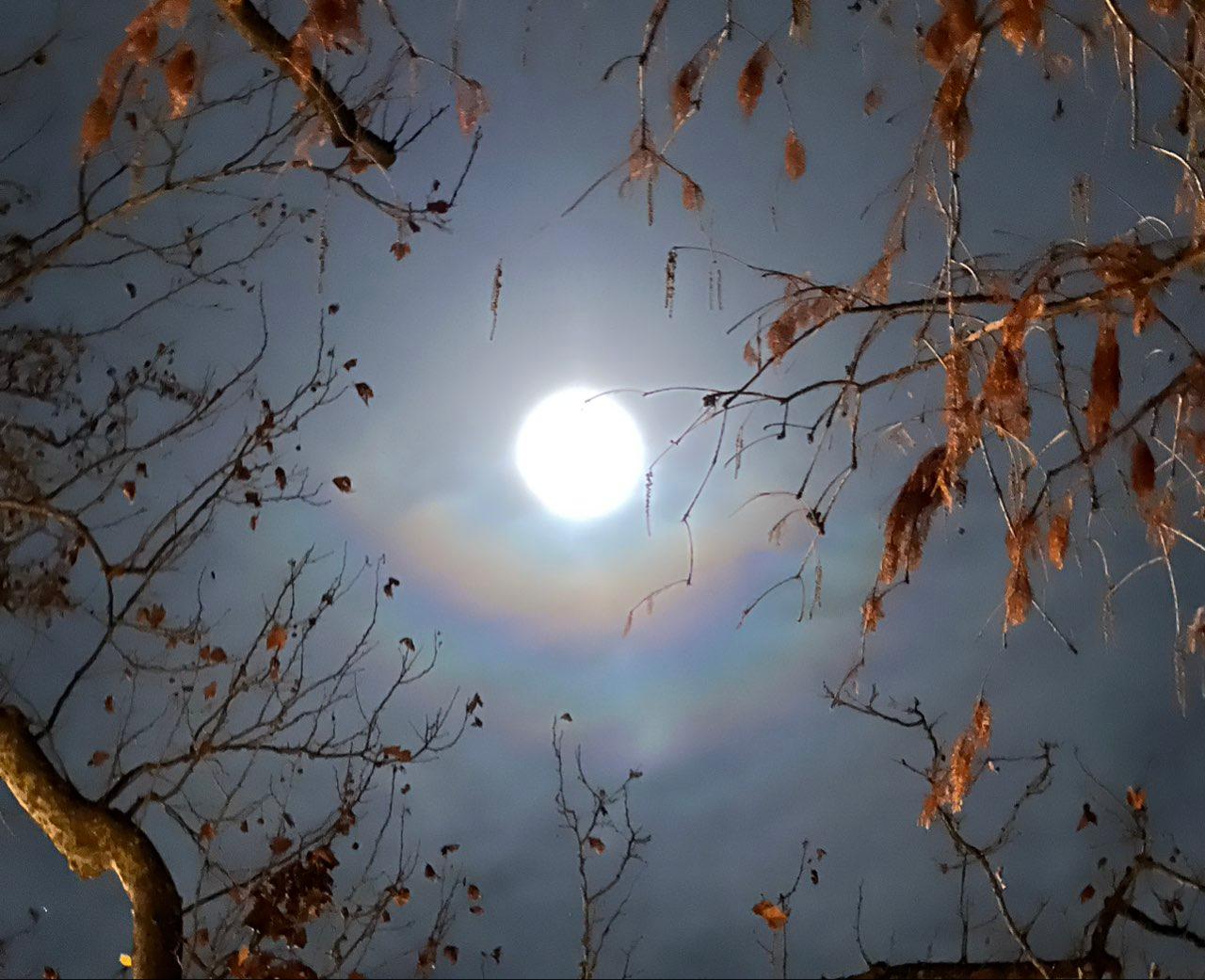 The Moon over Lugano, Switzerland — waning gibbous, Lunar Day 20
