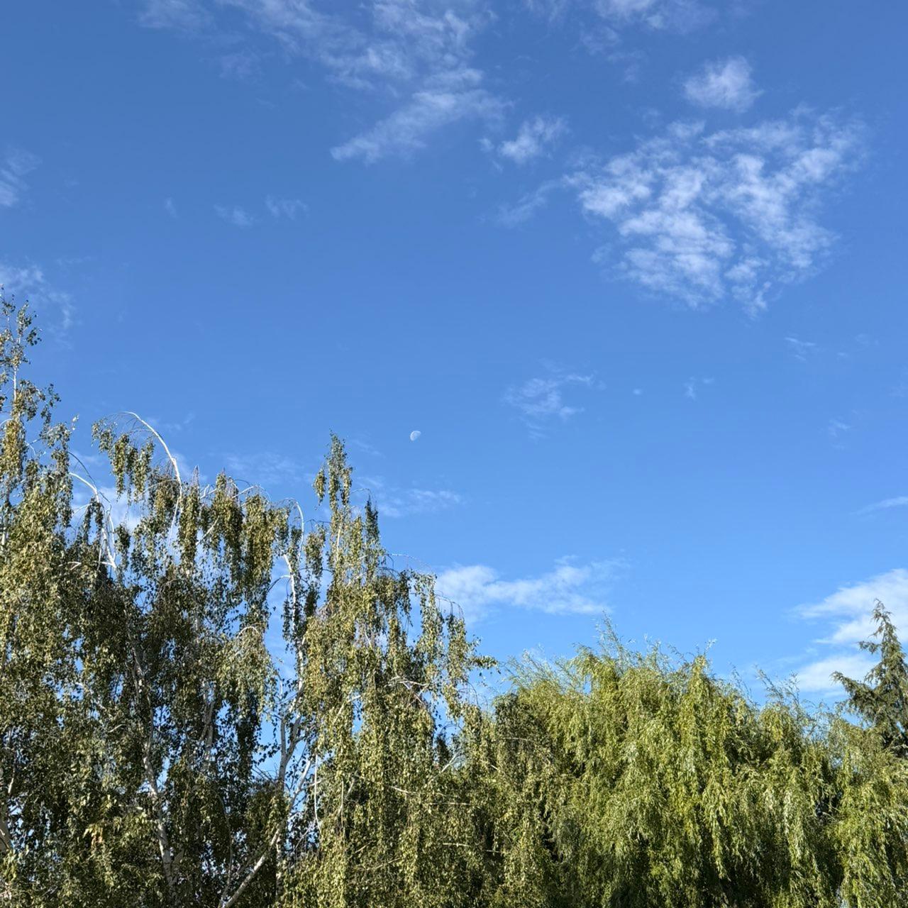The Moon over Lodi, United States — last quarter, Lunar Day 21